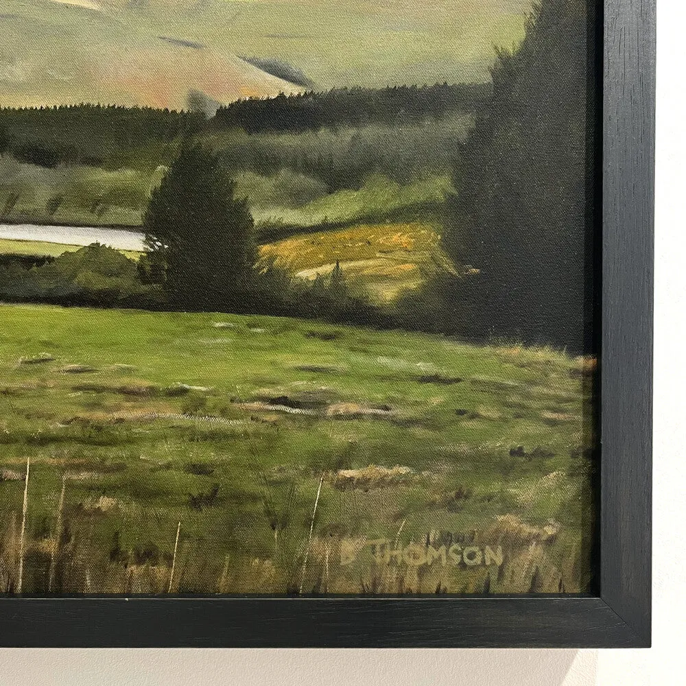 Barry Thomson | Campsies