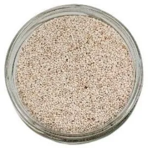 Chia Seeds White Organic