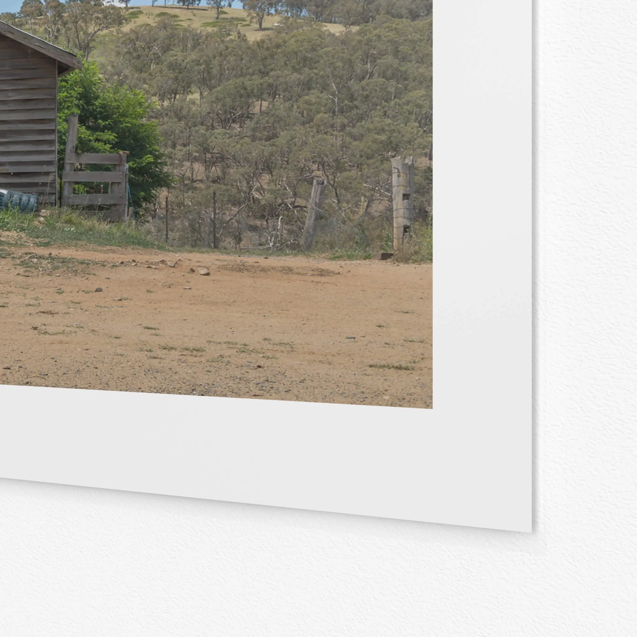 Deddick Valley Woolshed | The Woolshed
