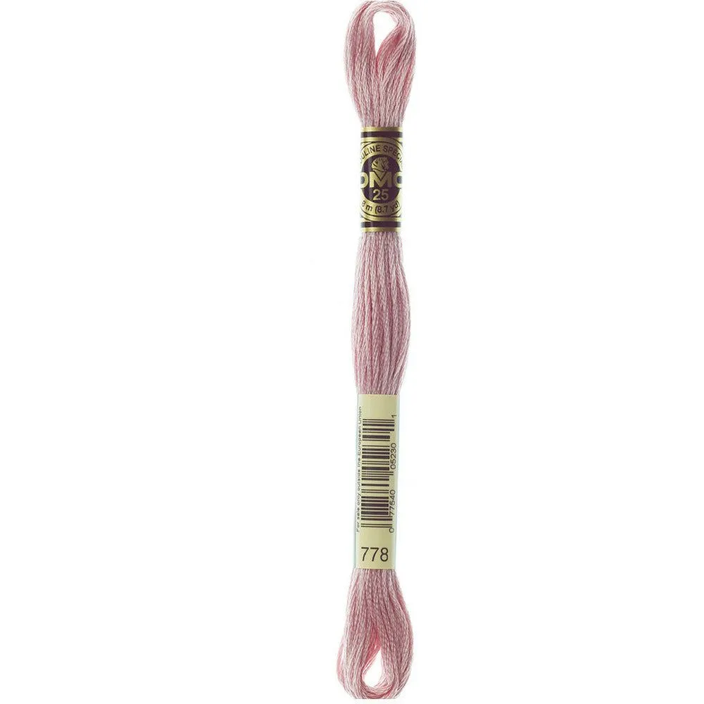 DMC Embroidery Floss, 6-Strand - Antique Mauve Very Light #778