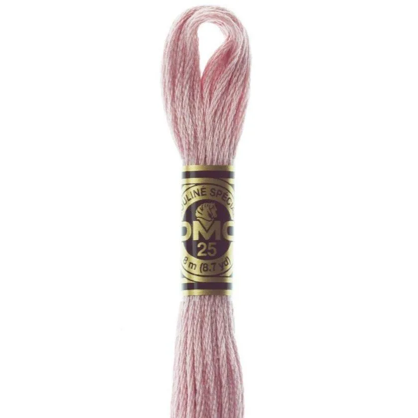 DMC Embroidery Floss, 6-Strand - Antique Mauve Very Light #778