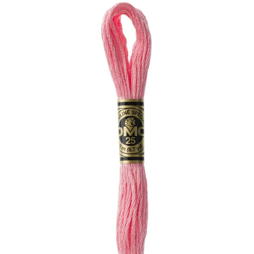 DMC Embroidery Floss, 6-Strand - Melon Light #3708