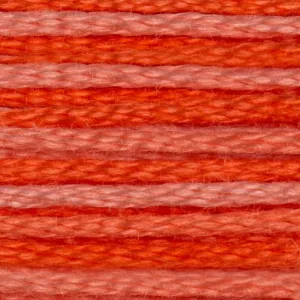 DMC Embroidery Floss, 6-Strand - Variegated Coral #106