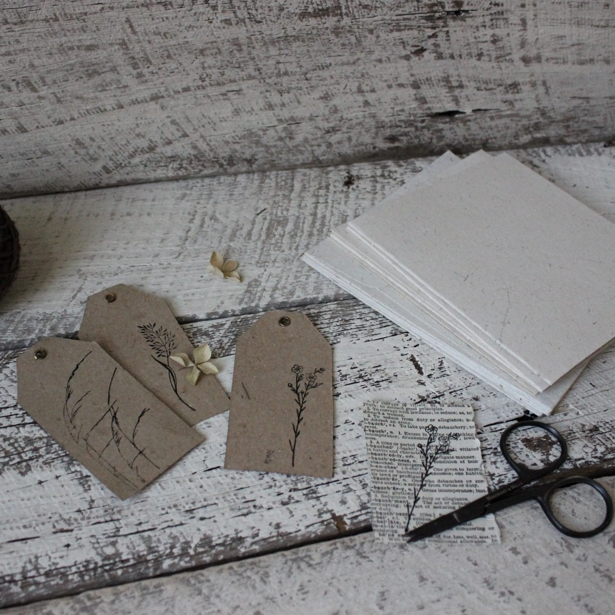 Elephant Paper Swing Tags