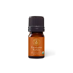 Eucalyptus Radiata Essential Oil
