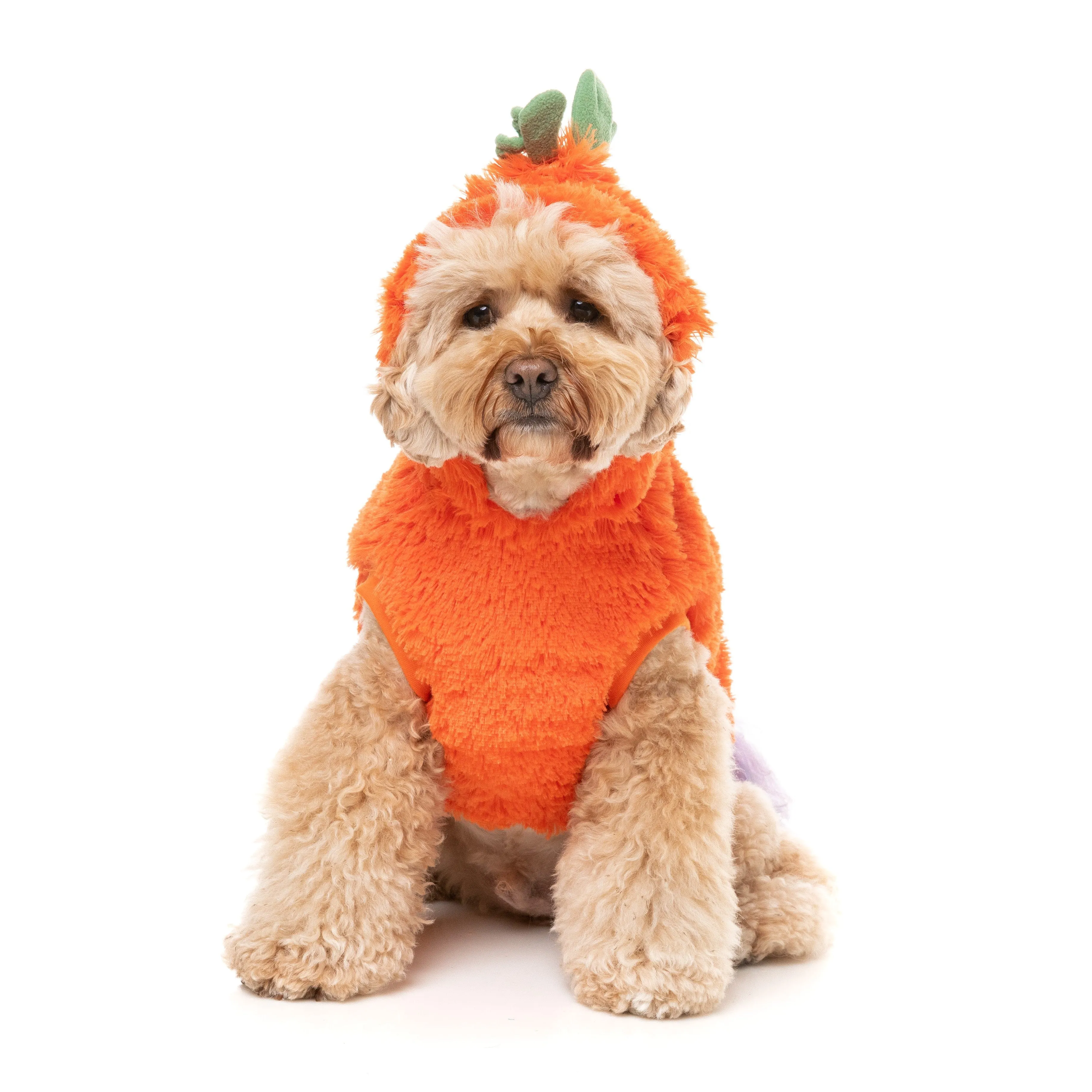 FuzzYard Halloween Dog Apparel Pumpkin Head Hoodie Size 4