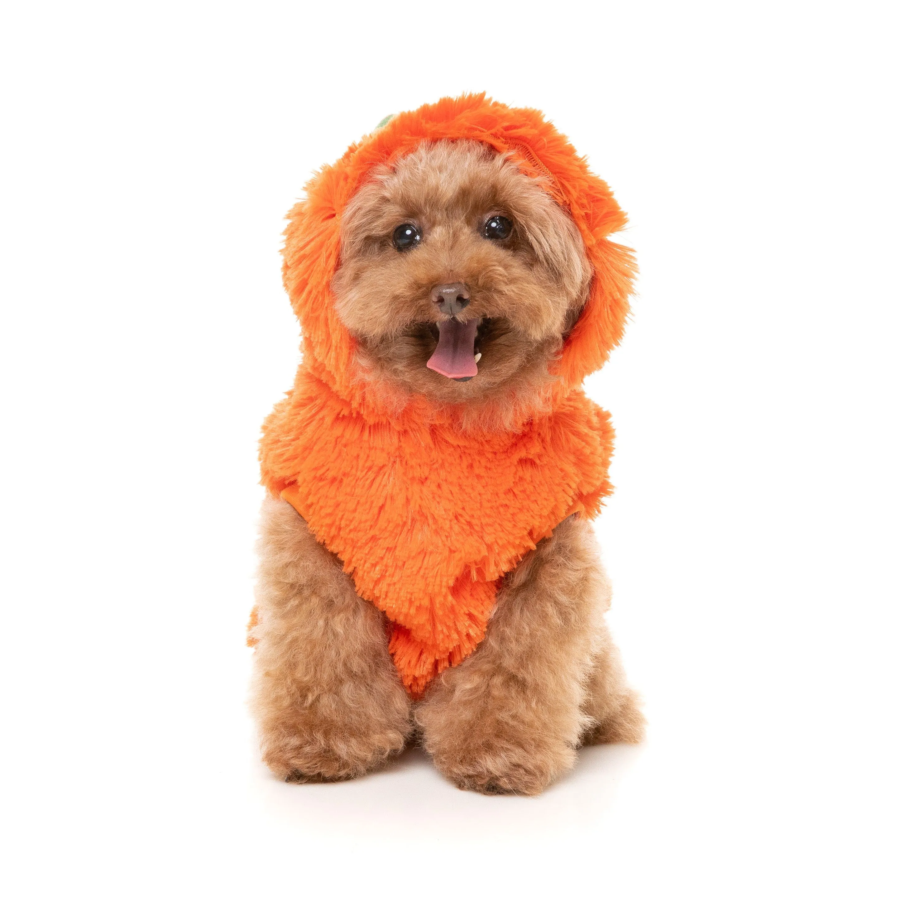FuzzYard Halloween Dog Apparel Pumpkin Head Hoodie Size 4