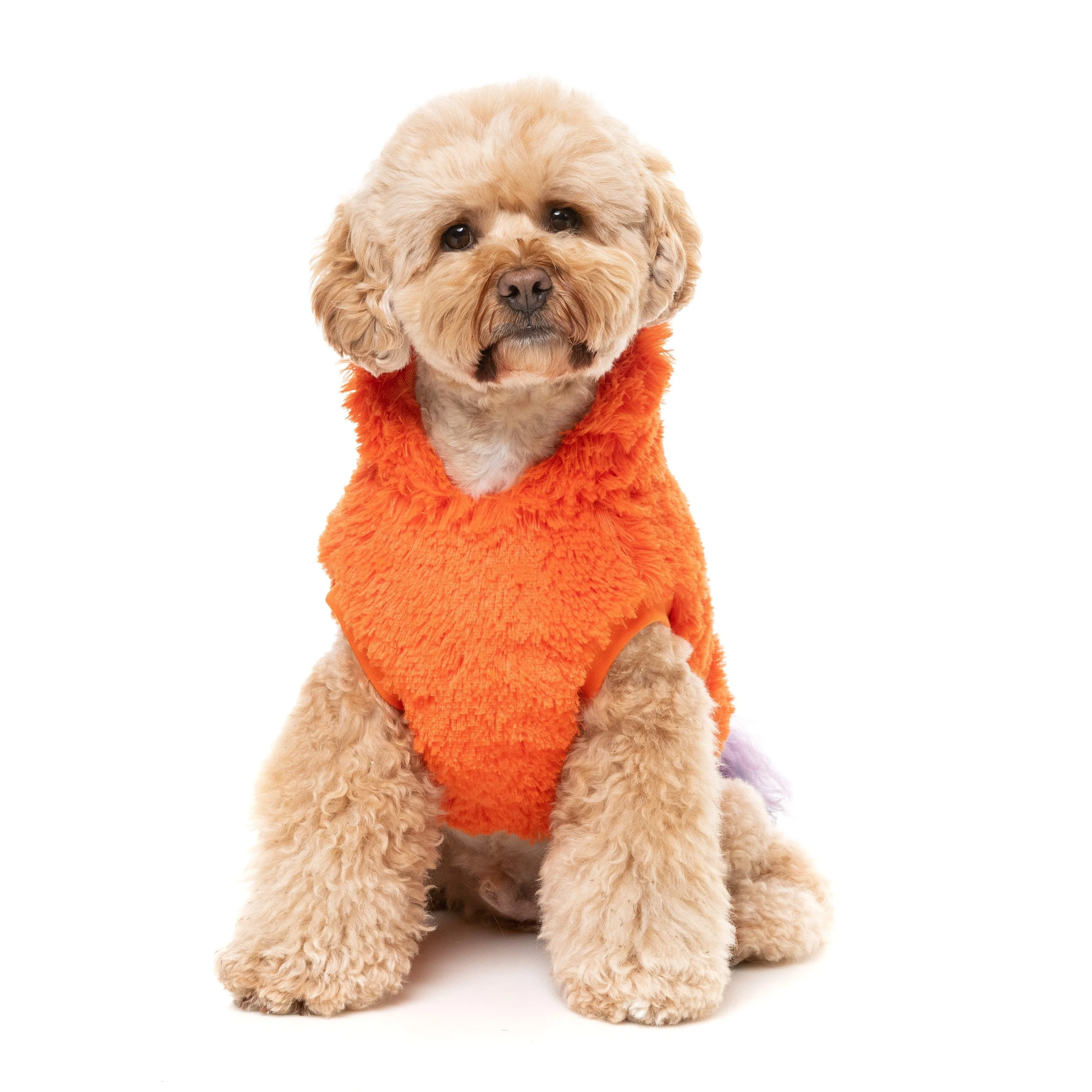 FuzzYard Halloween Dog Apparel Pumpkin Head Hoodie Size 4