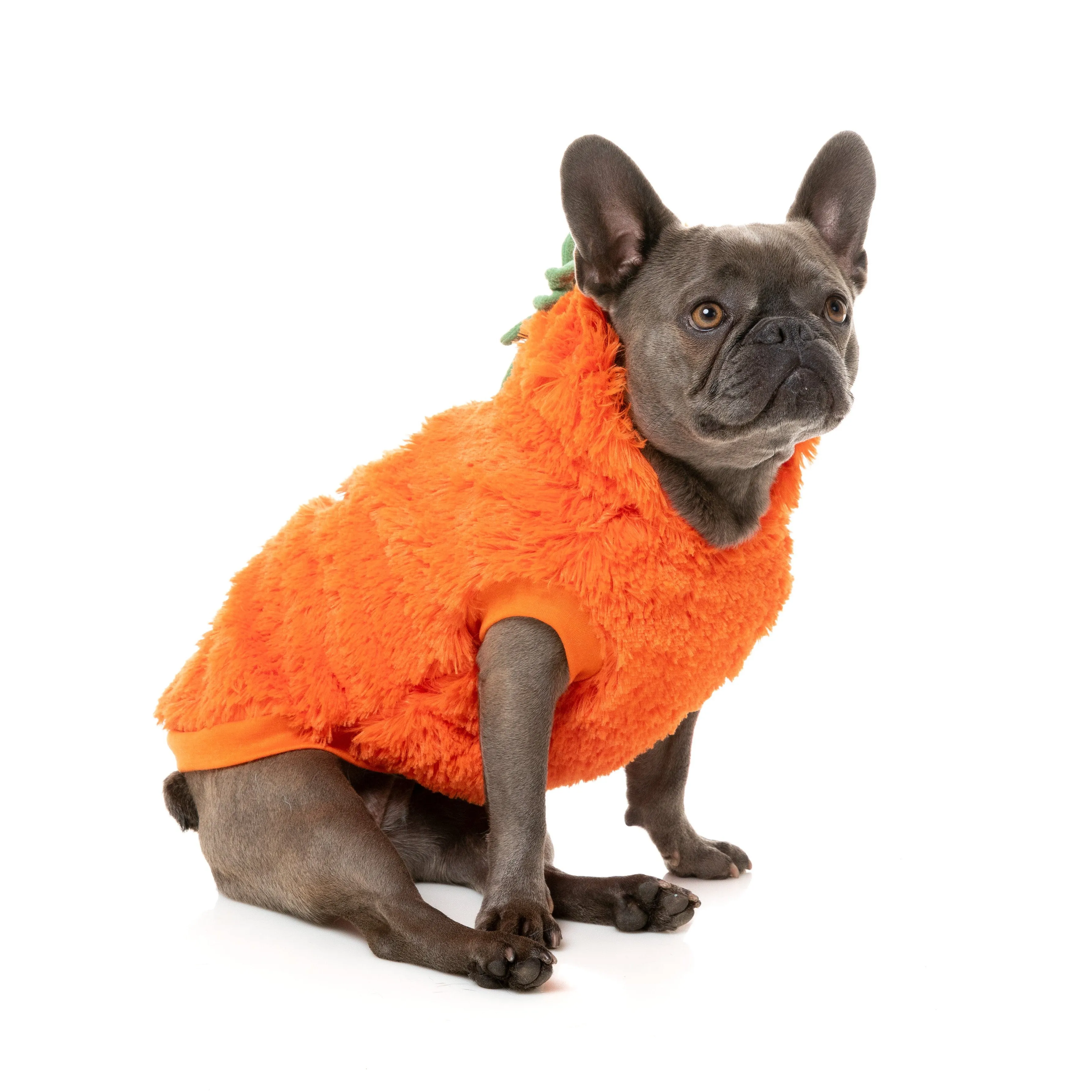 FuzzYard Halloween Dog Apparel Pumpkin Head Hoodie Size 4