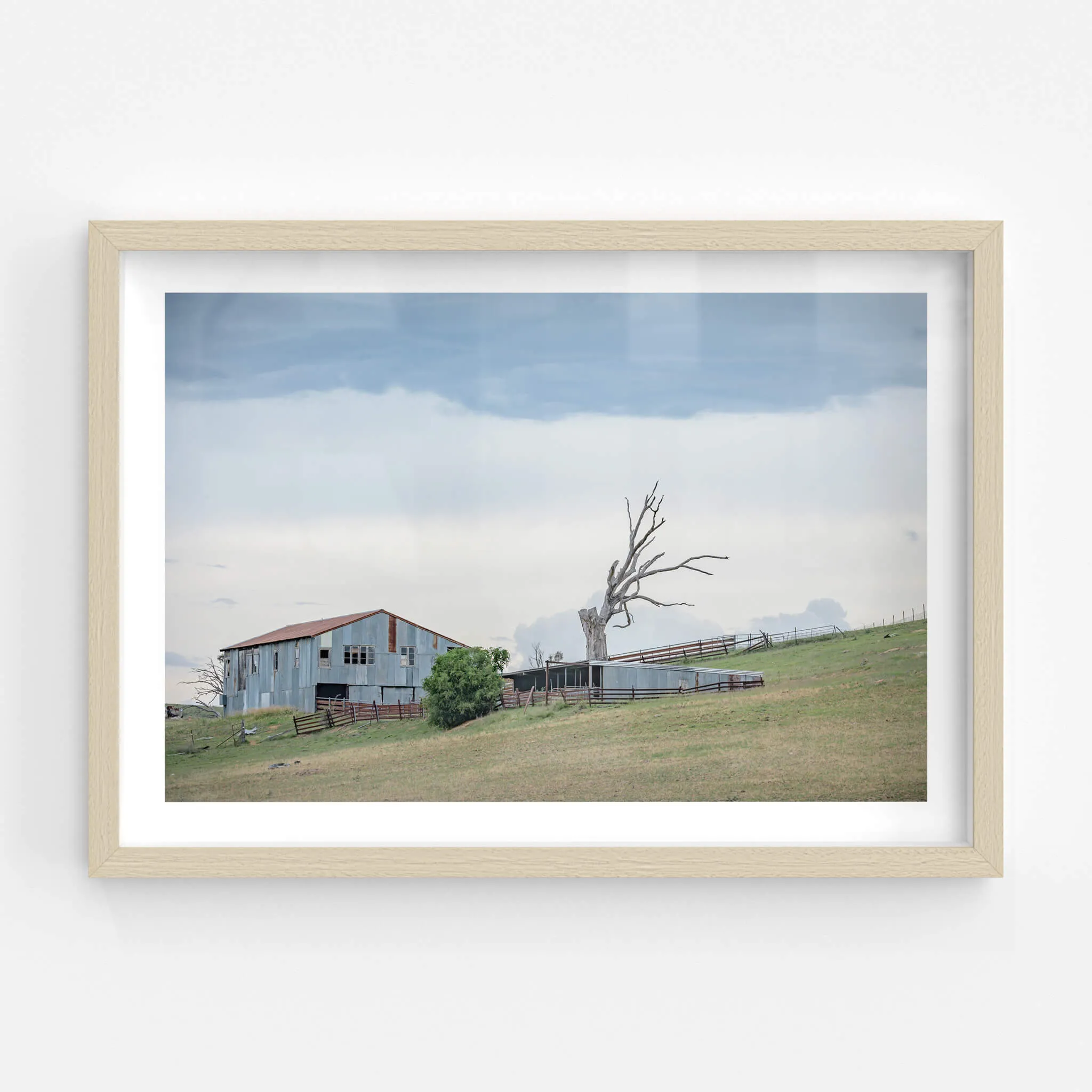 Jimenbuen Woolshed | The Woolshed
