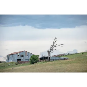 Jimenbuen Woolshed | The Woolshed