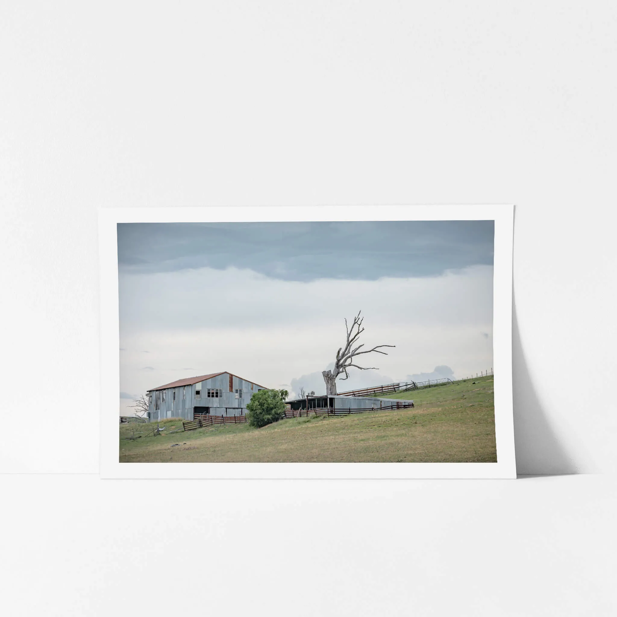 Jimenbuen Woolshed | The Woolshed