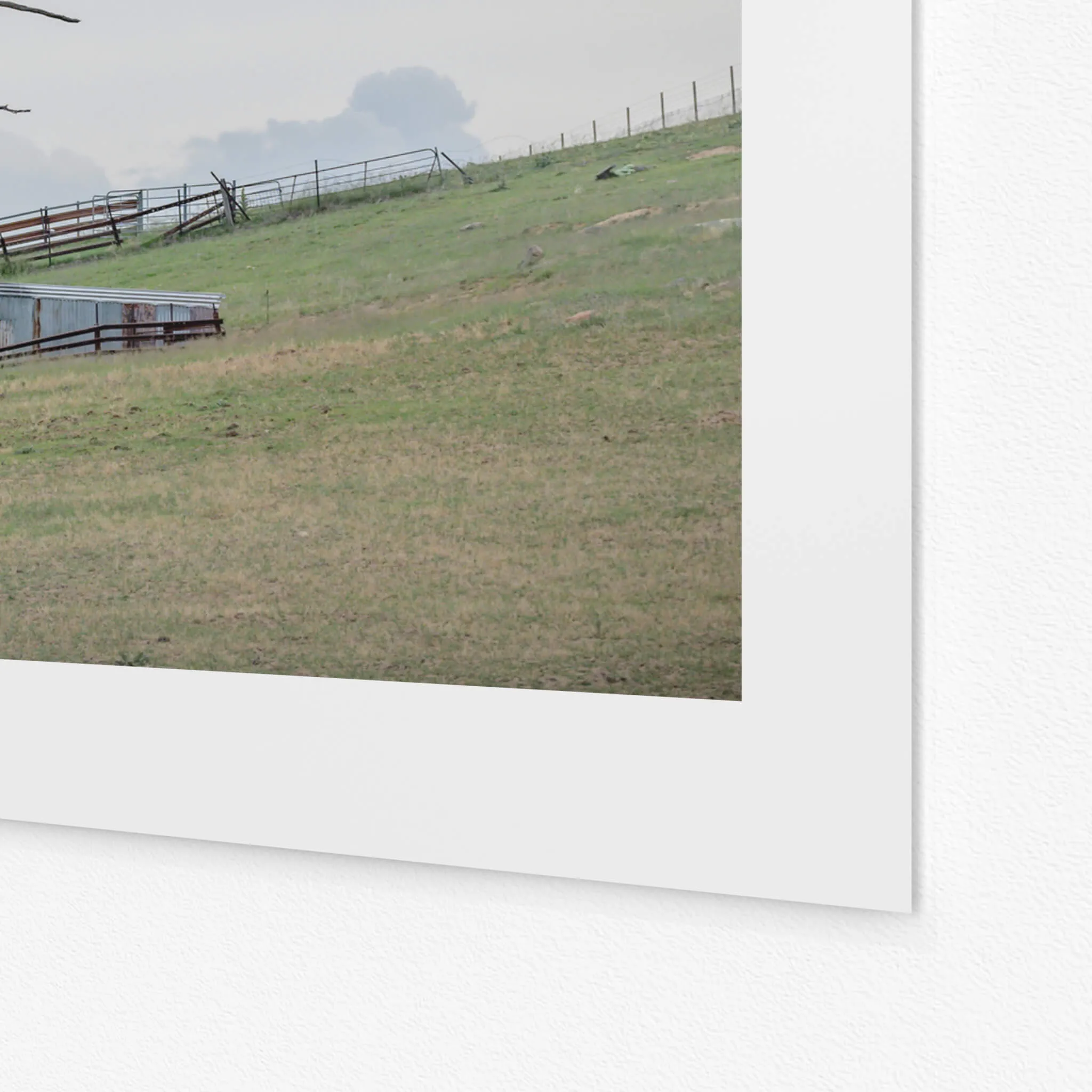 Jimenbuen Woolshed | The Woolshed