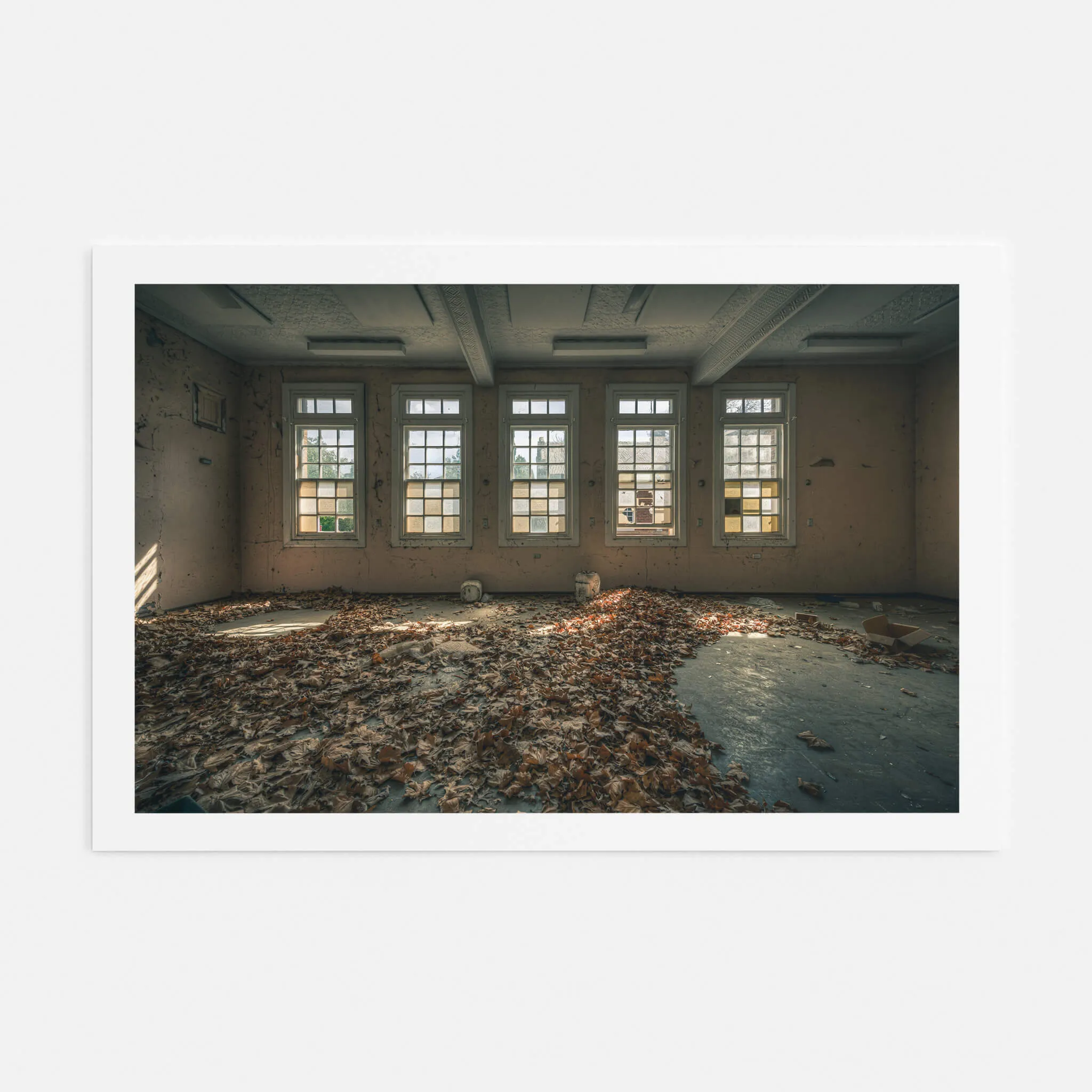 Leafy Outlook | The Asylum