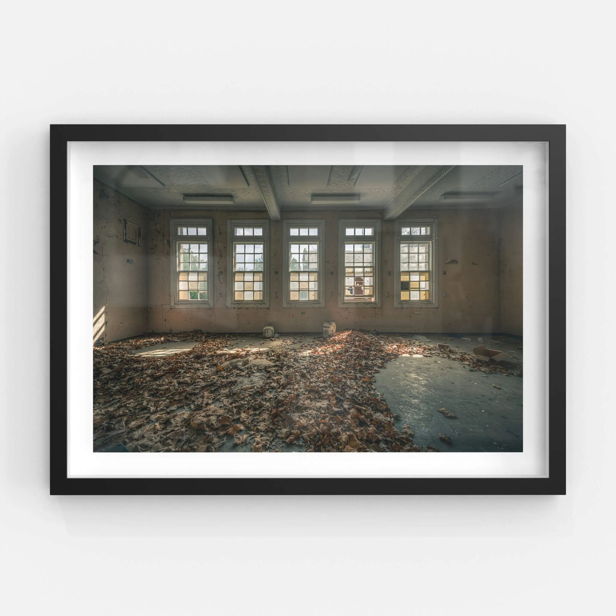 Leafy Outlook | The Asylum