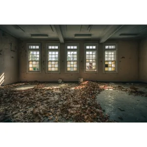 Leafy Outlook | The Asylum