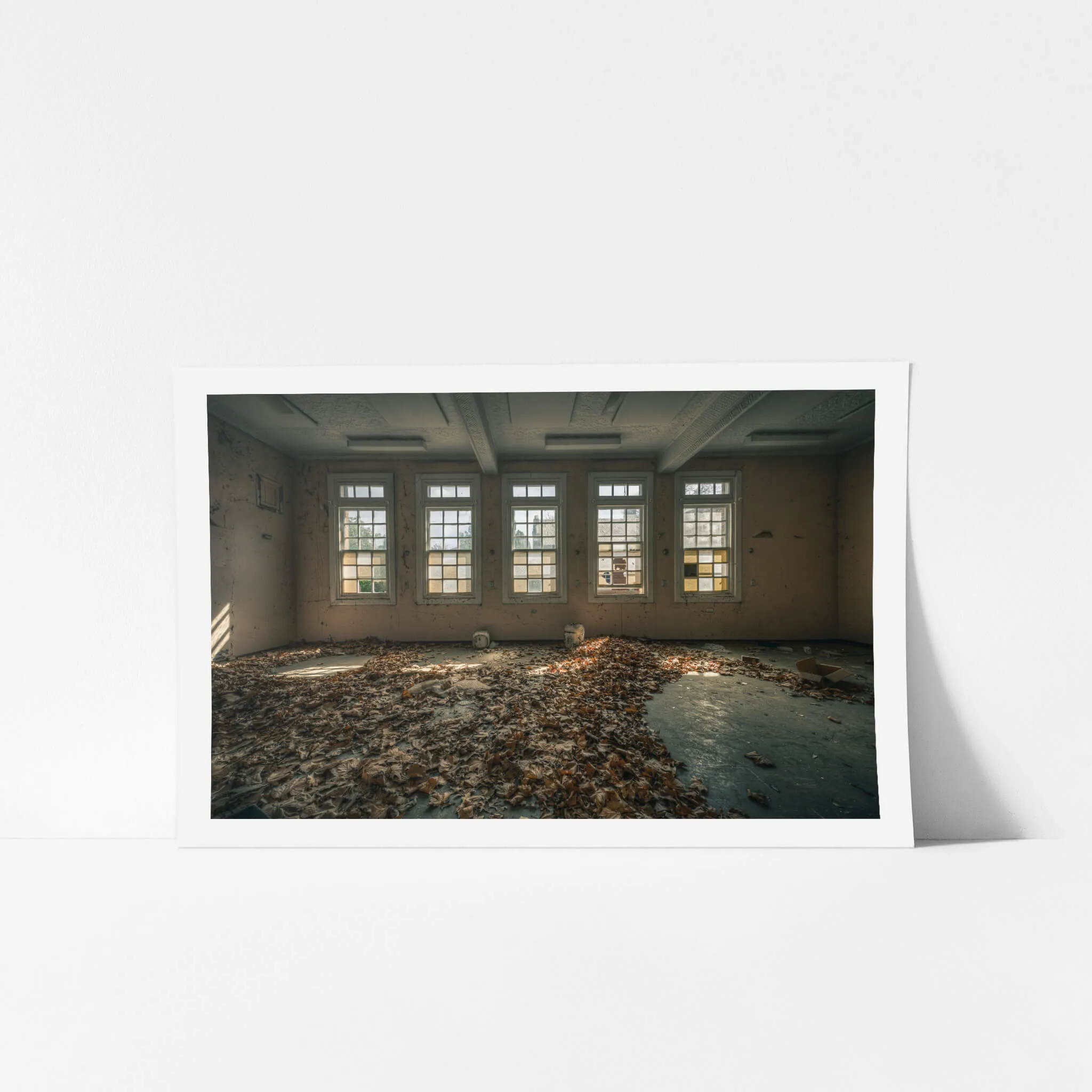 Leafy Outlook | The Asylum