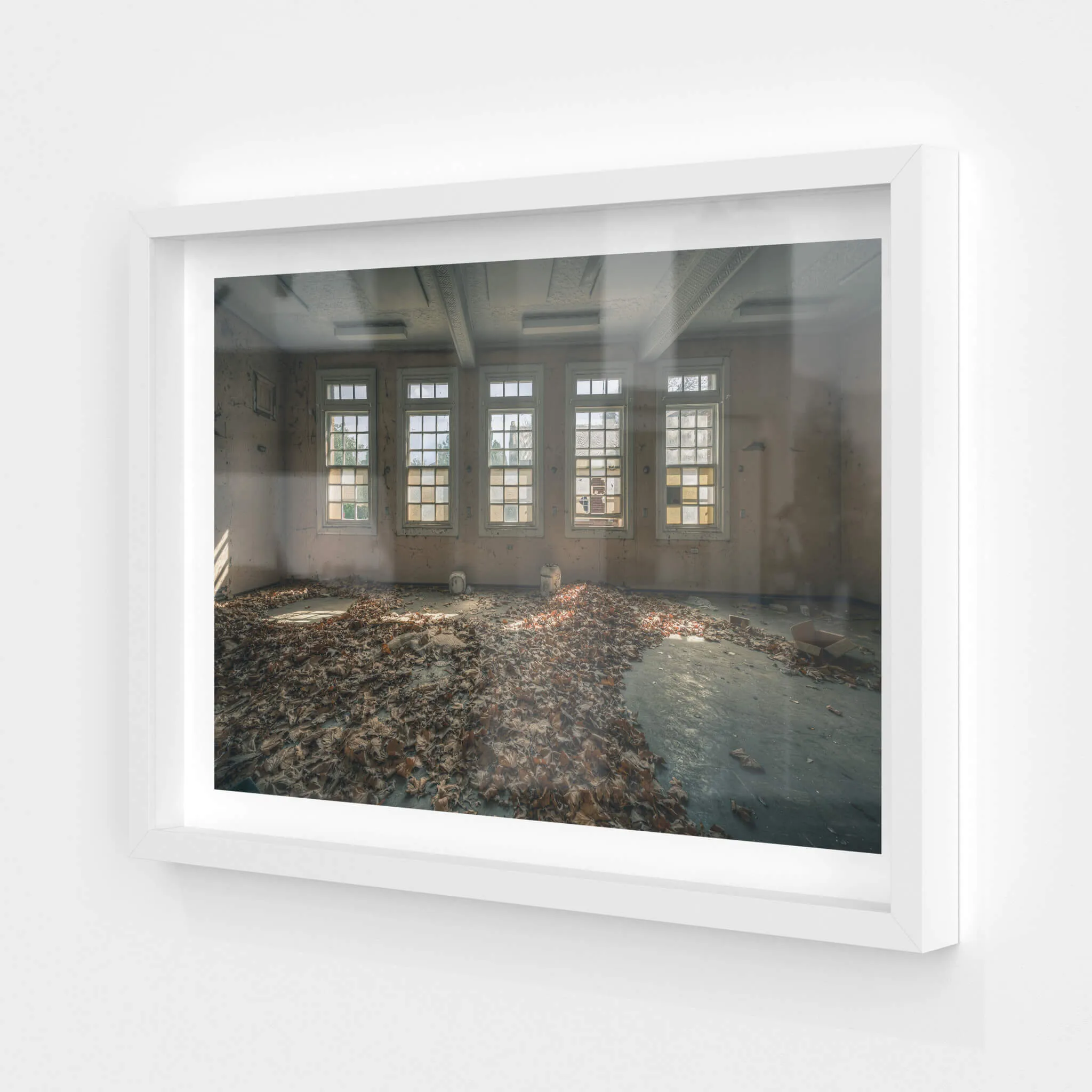Leafy Outlook | The Asylum