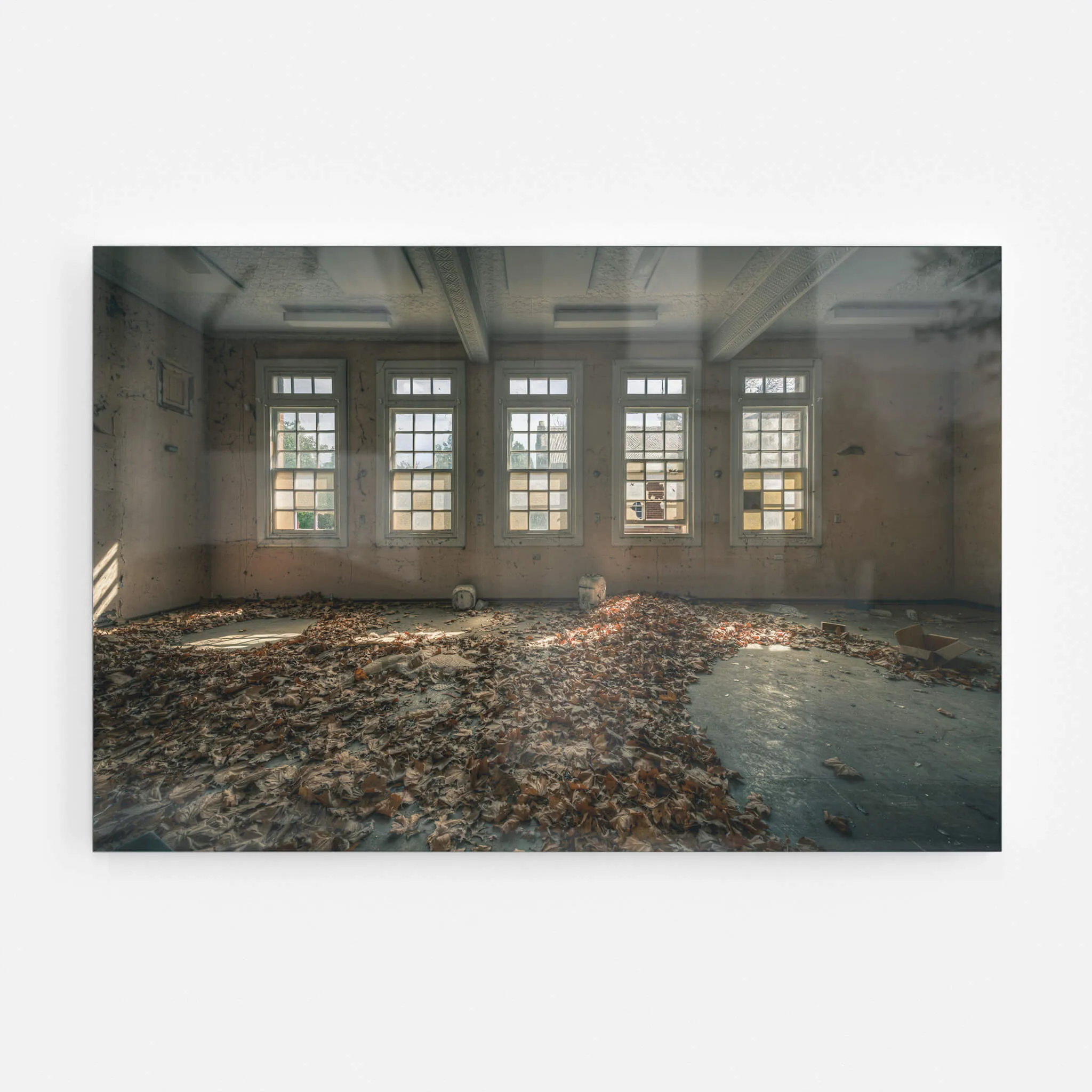 Leafy Outlook | The Asylum