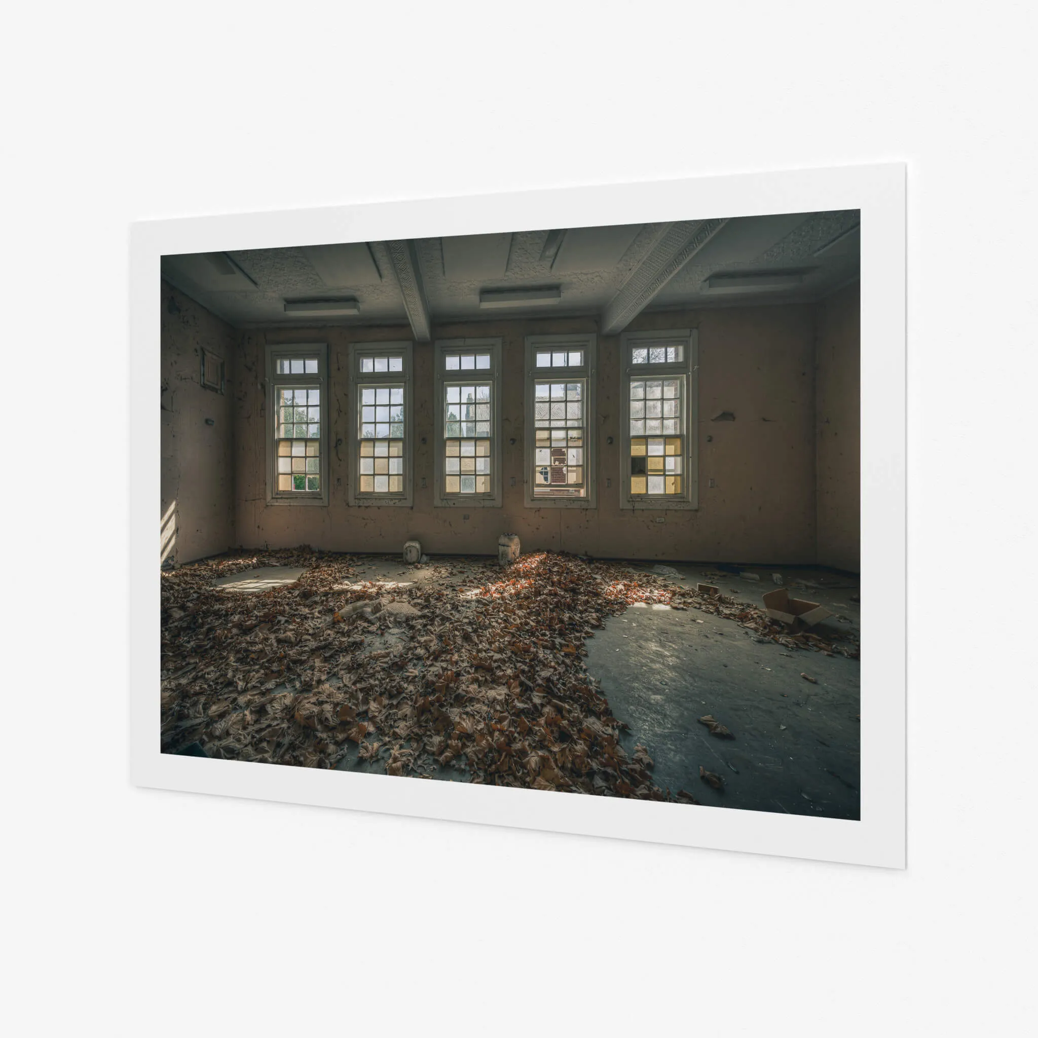Leafy Outlook | The Asylum