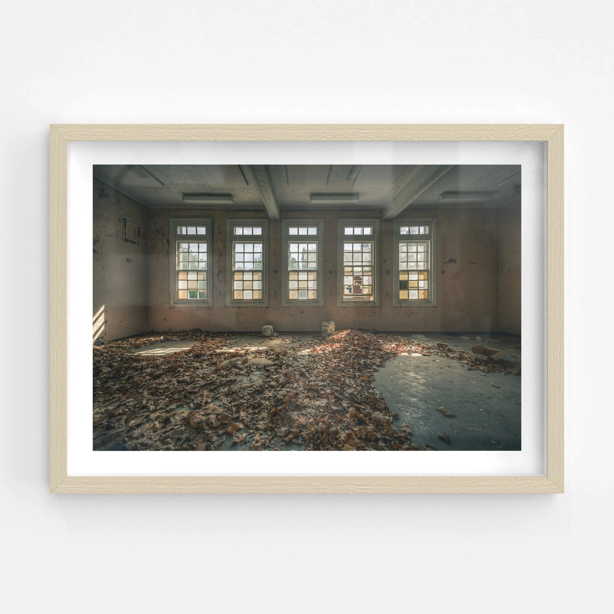 Leafy Outlook | The Asylum