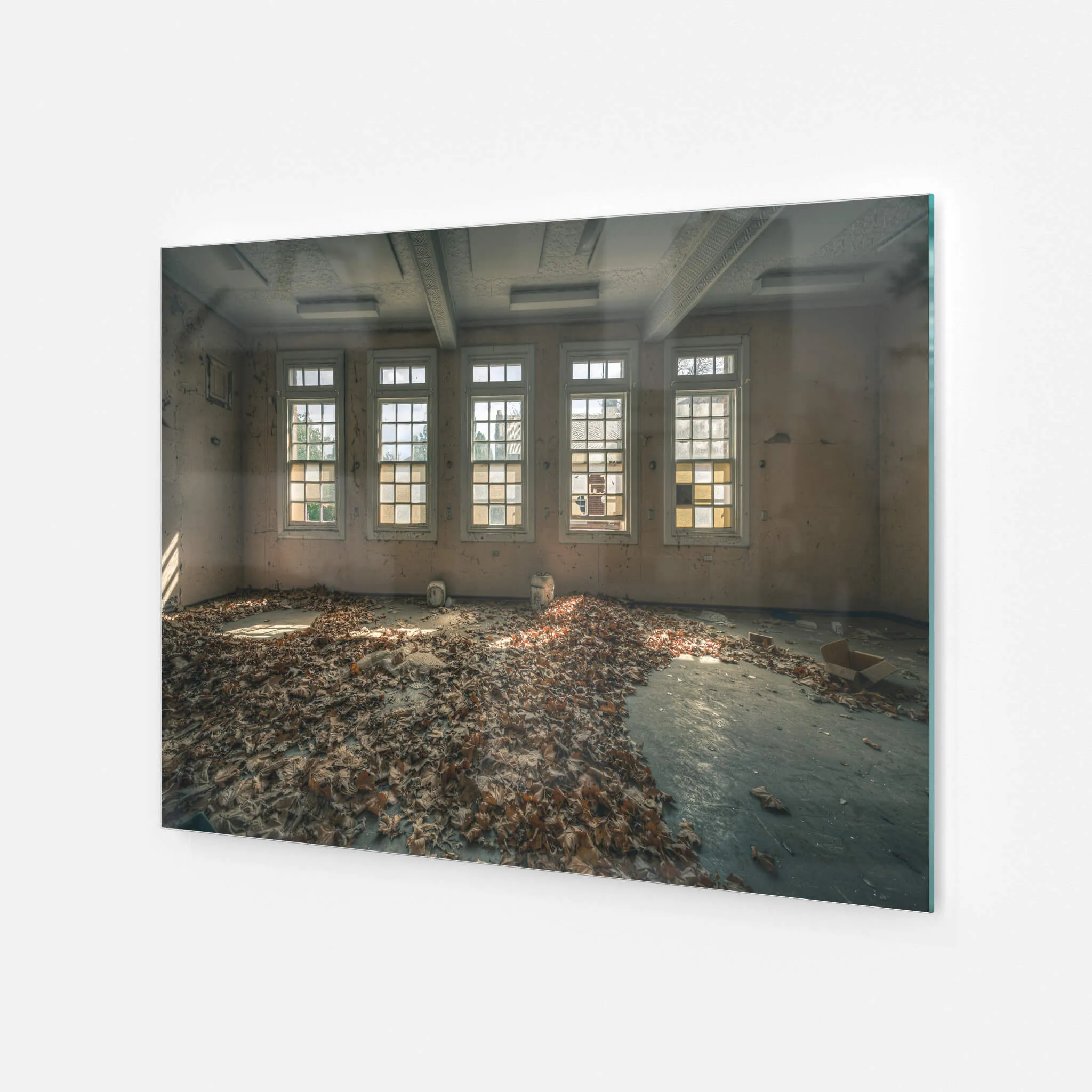 Leafy Outlook | The Asylum