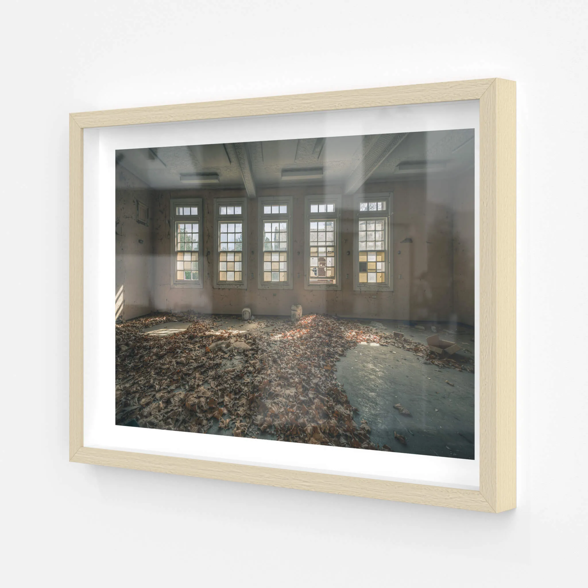 Leafy Outlook | The Asylum