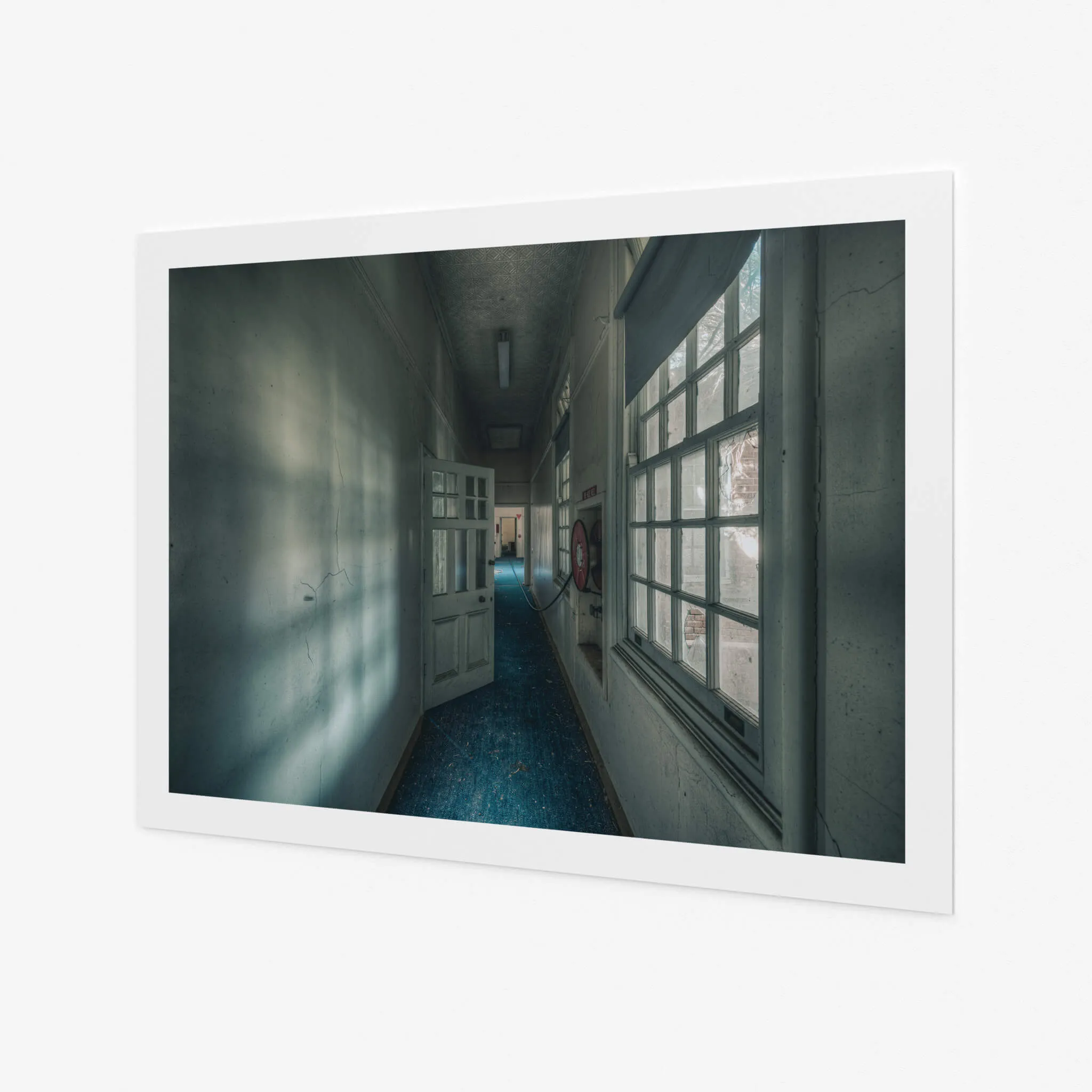 Long Blue Walk | The Asylum