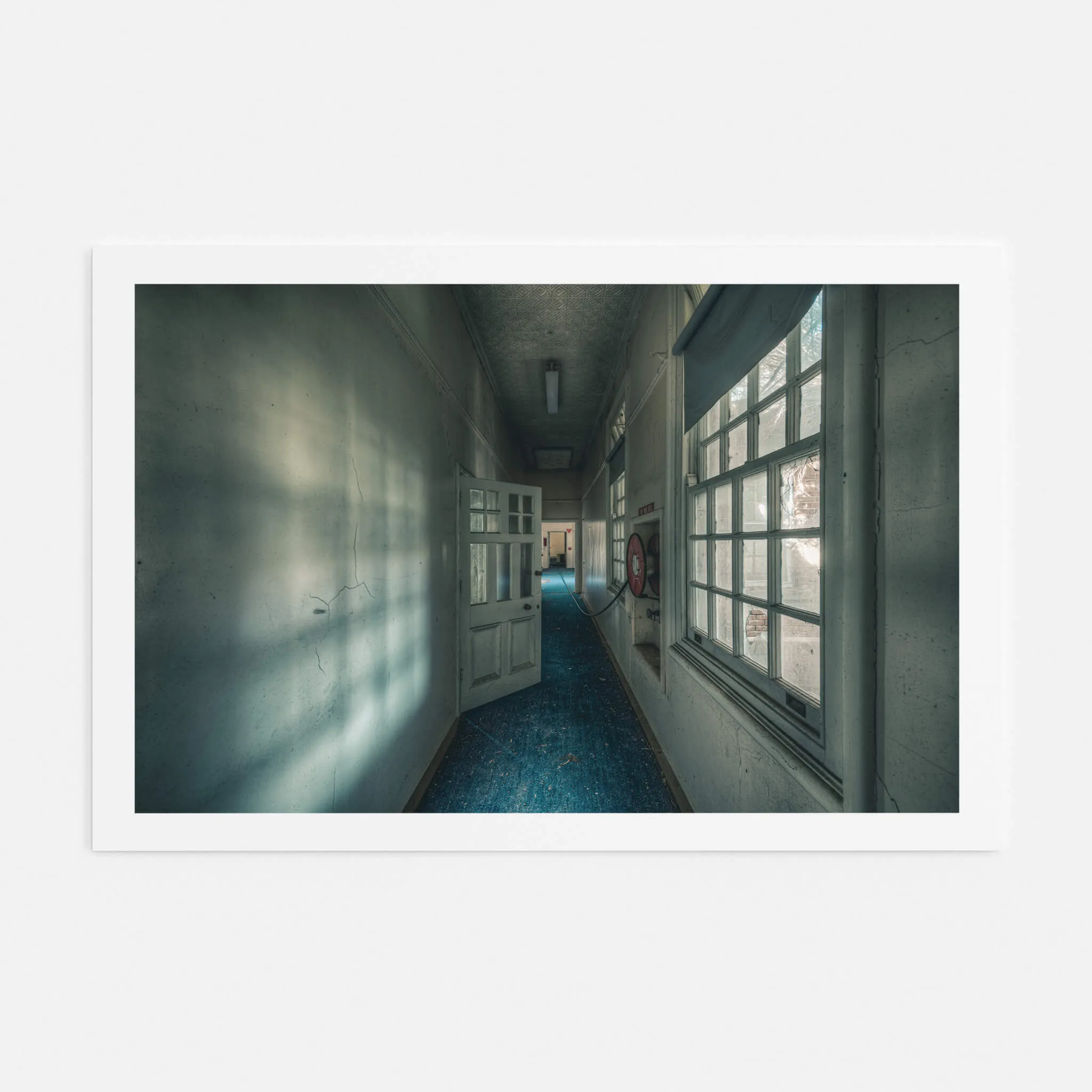 Long Blue Walk | The Asylum