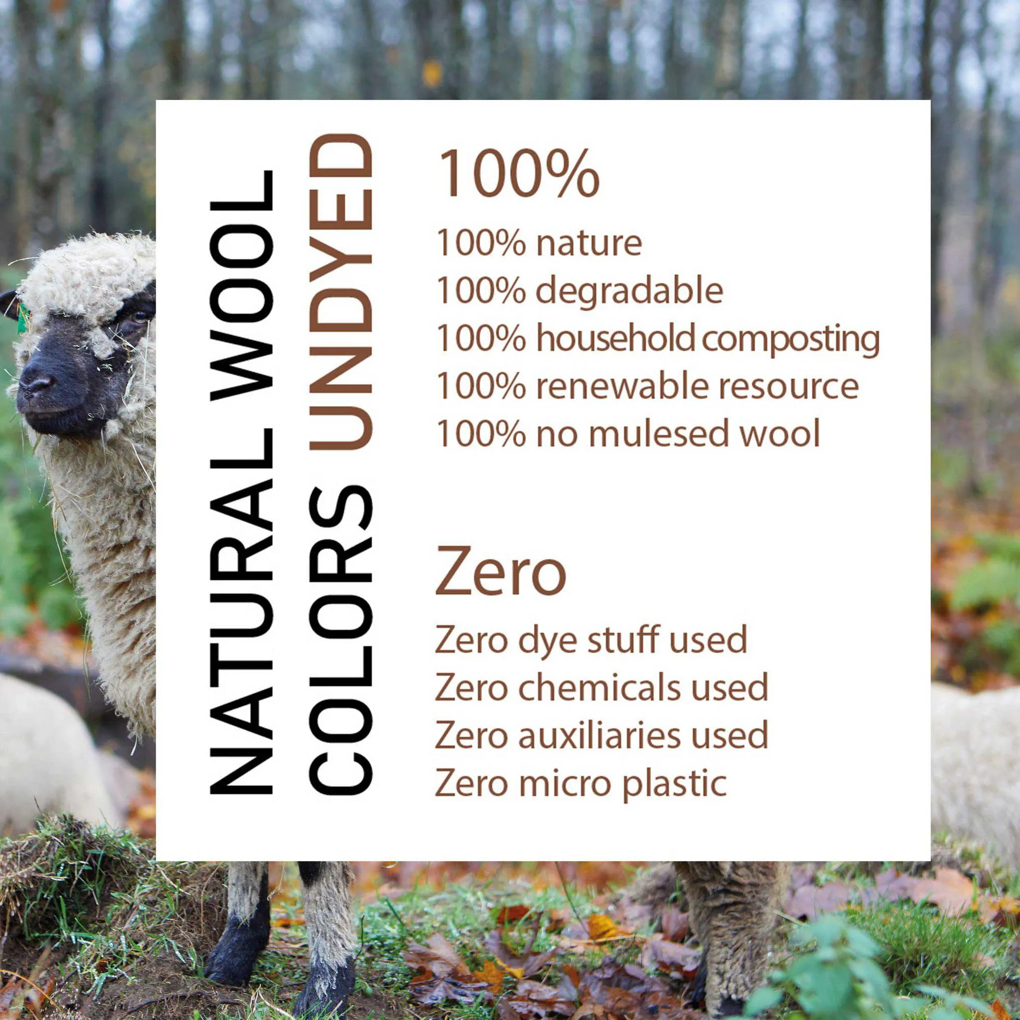 NLS PENTLAND HOOD, 100% OFÄRGAD ULL  — BIRCH