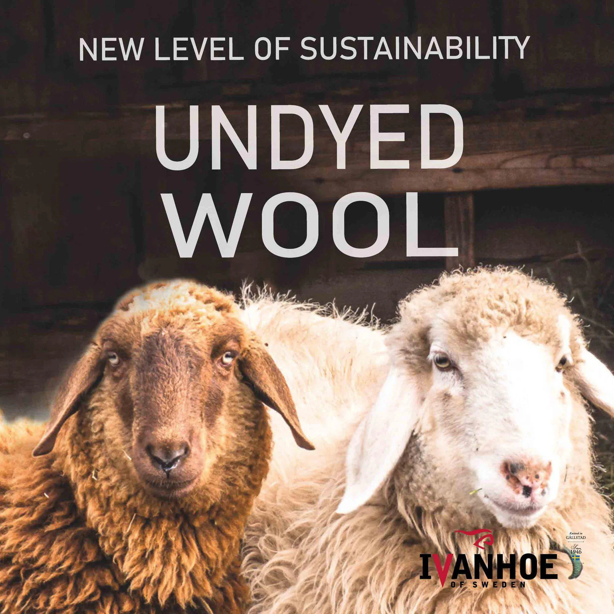 NLS PENTLAND HOOD, 100% OFÄRGAD ULL  — BIRCH