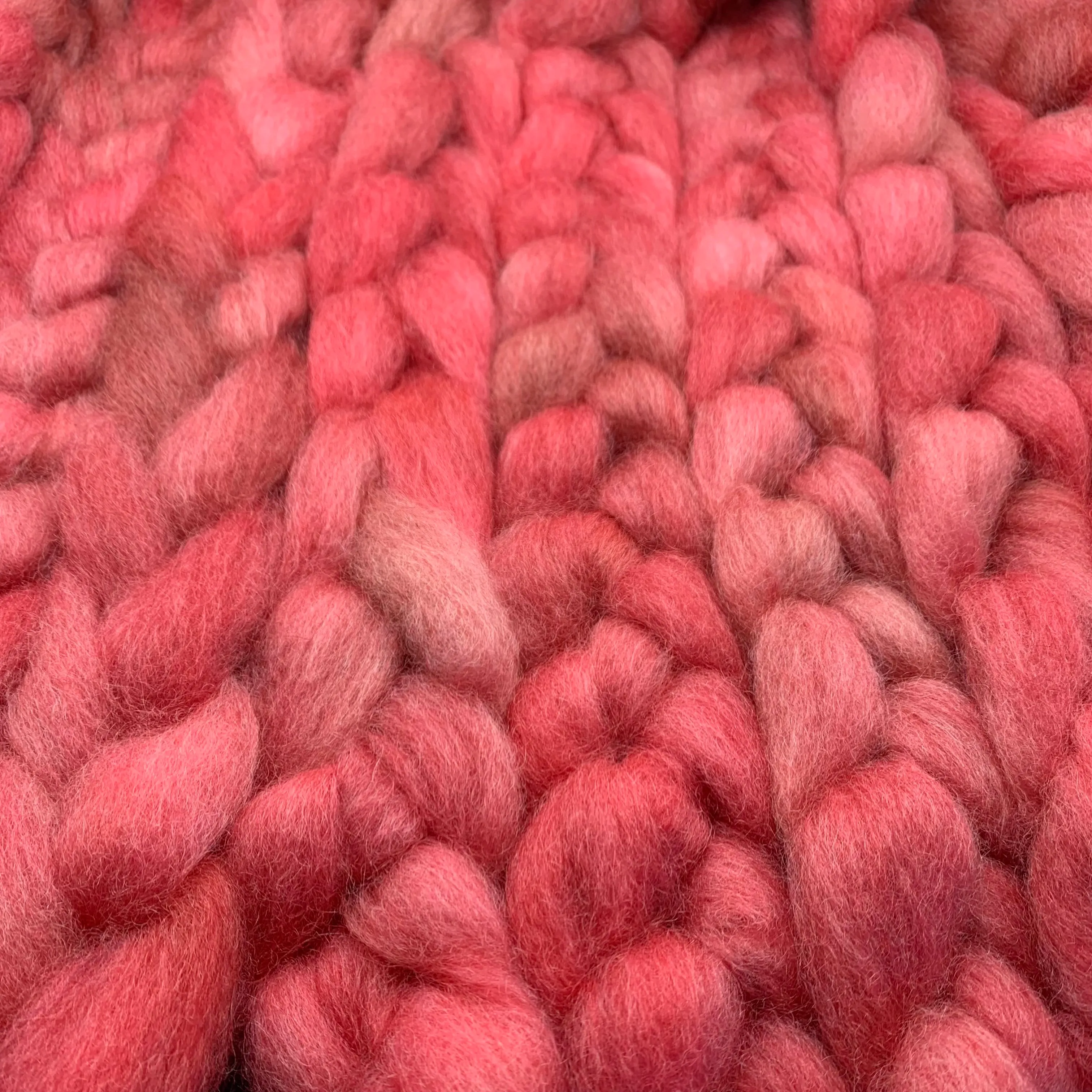 PNWWW Coopworth Wool Roving 4oz: Tapir Kissing Booth