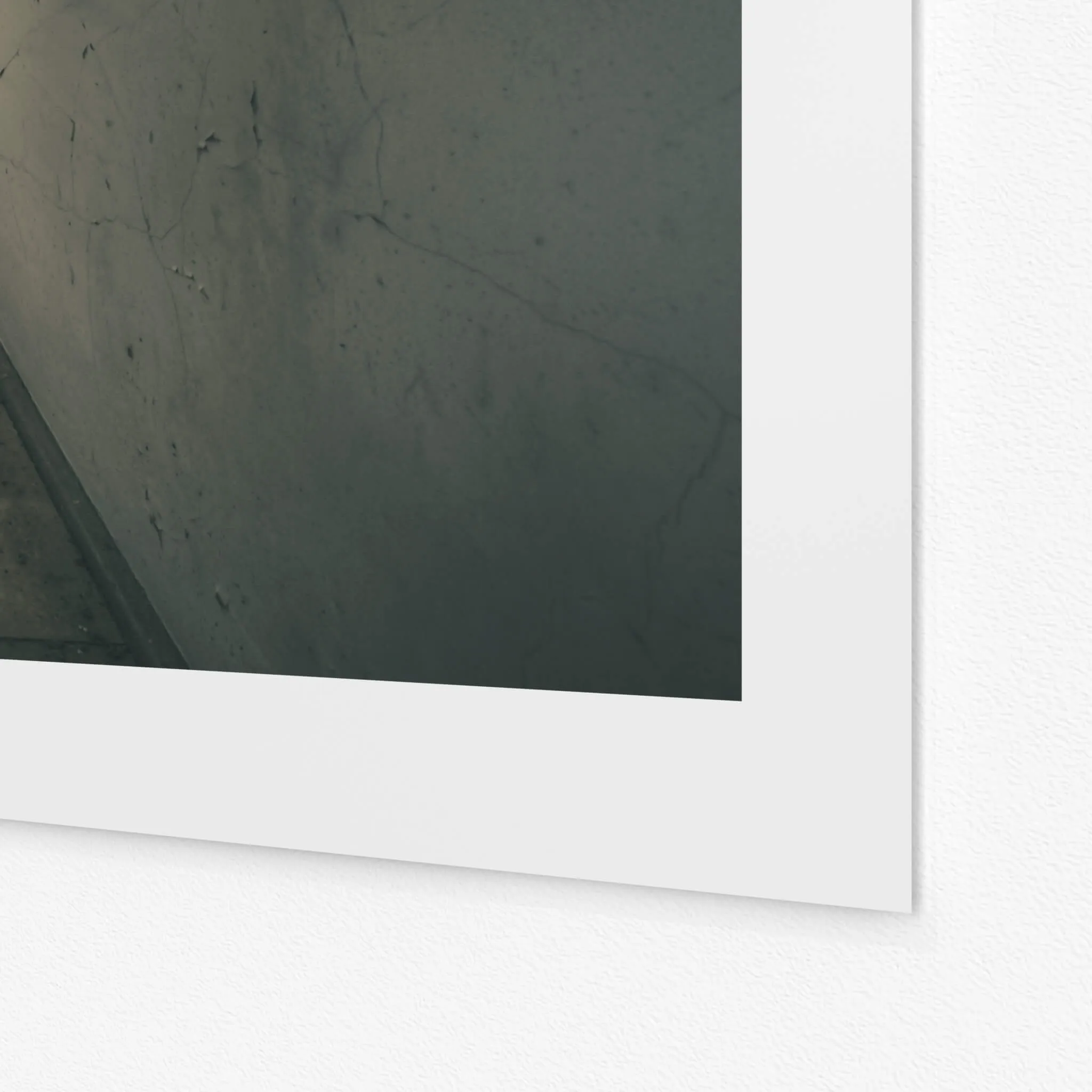 Reflective | The Asylum