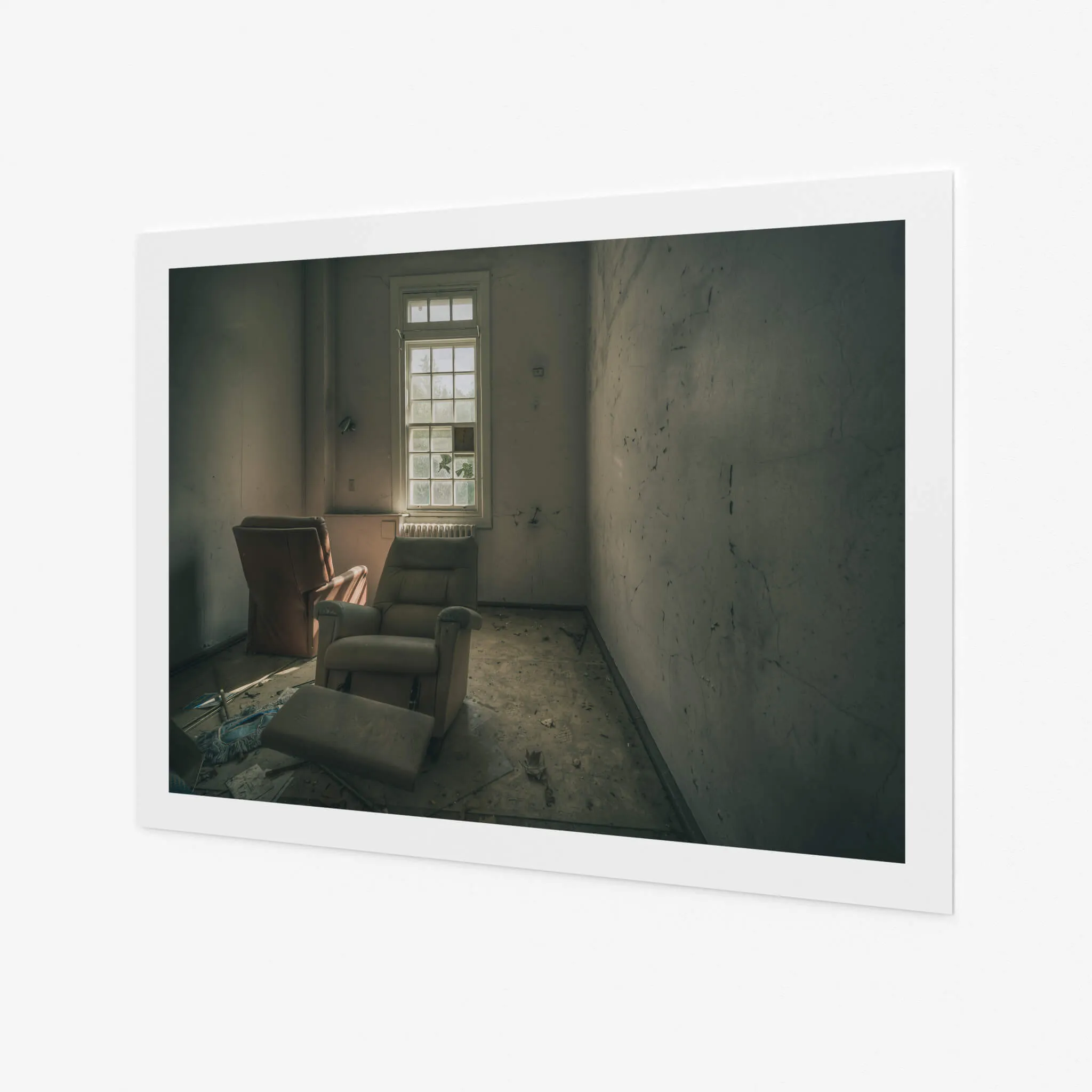 Reflective | The Asylum