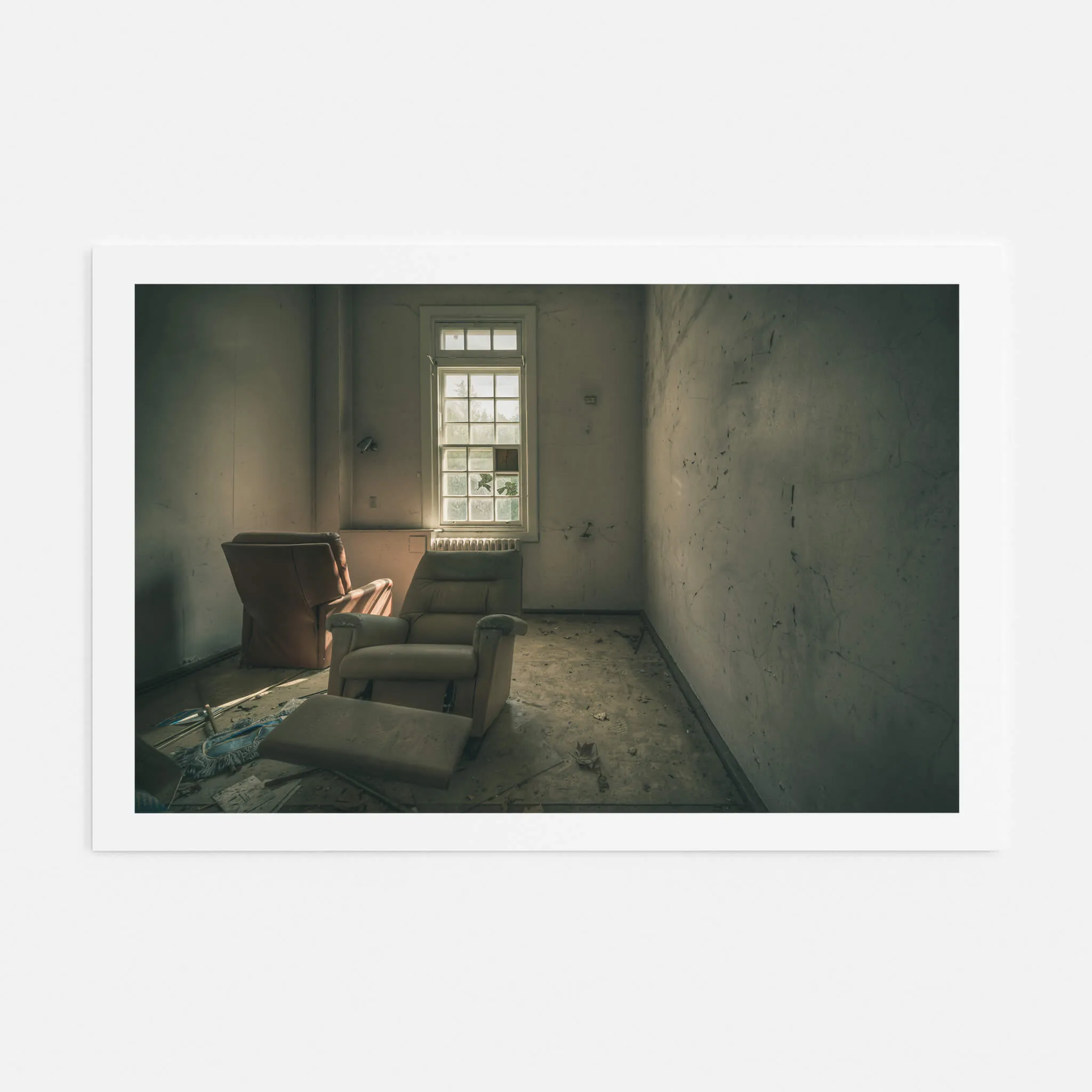 Reflective | The Asylum