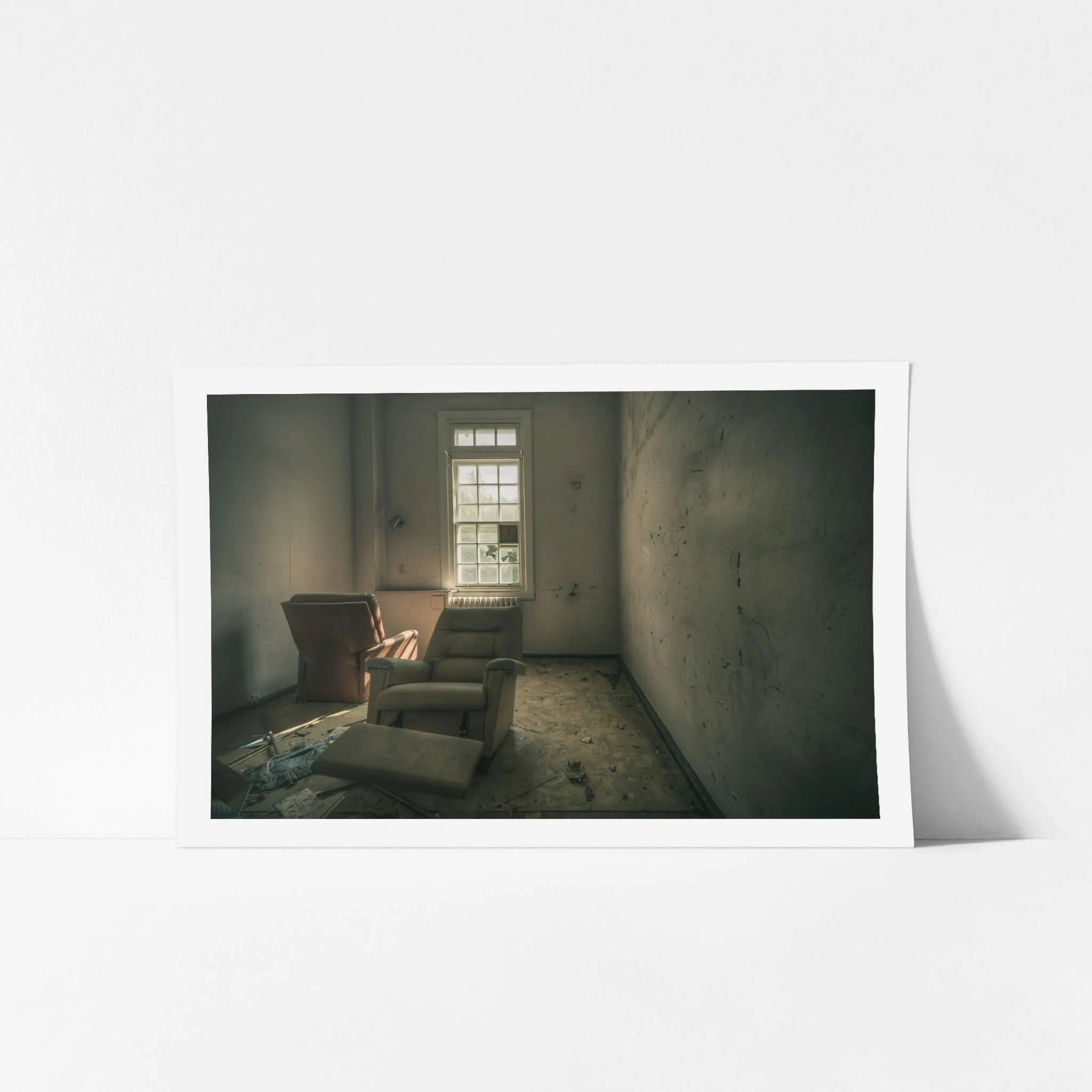 Reflective | The Asylum