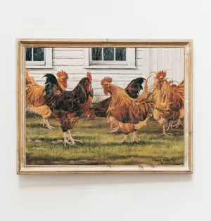 Rooster Coop