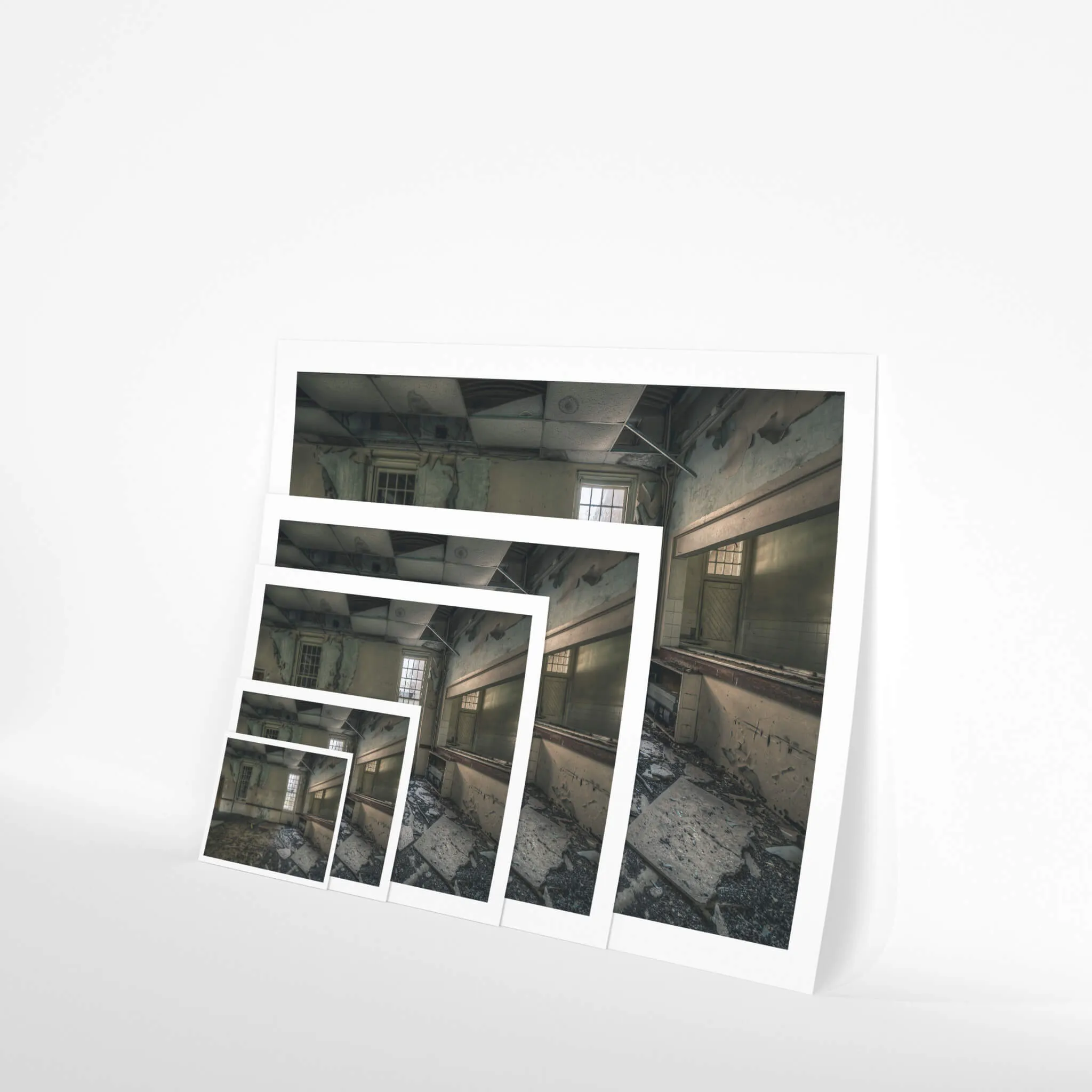Serving Area | The Asylum