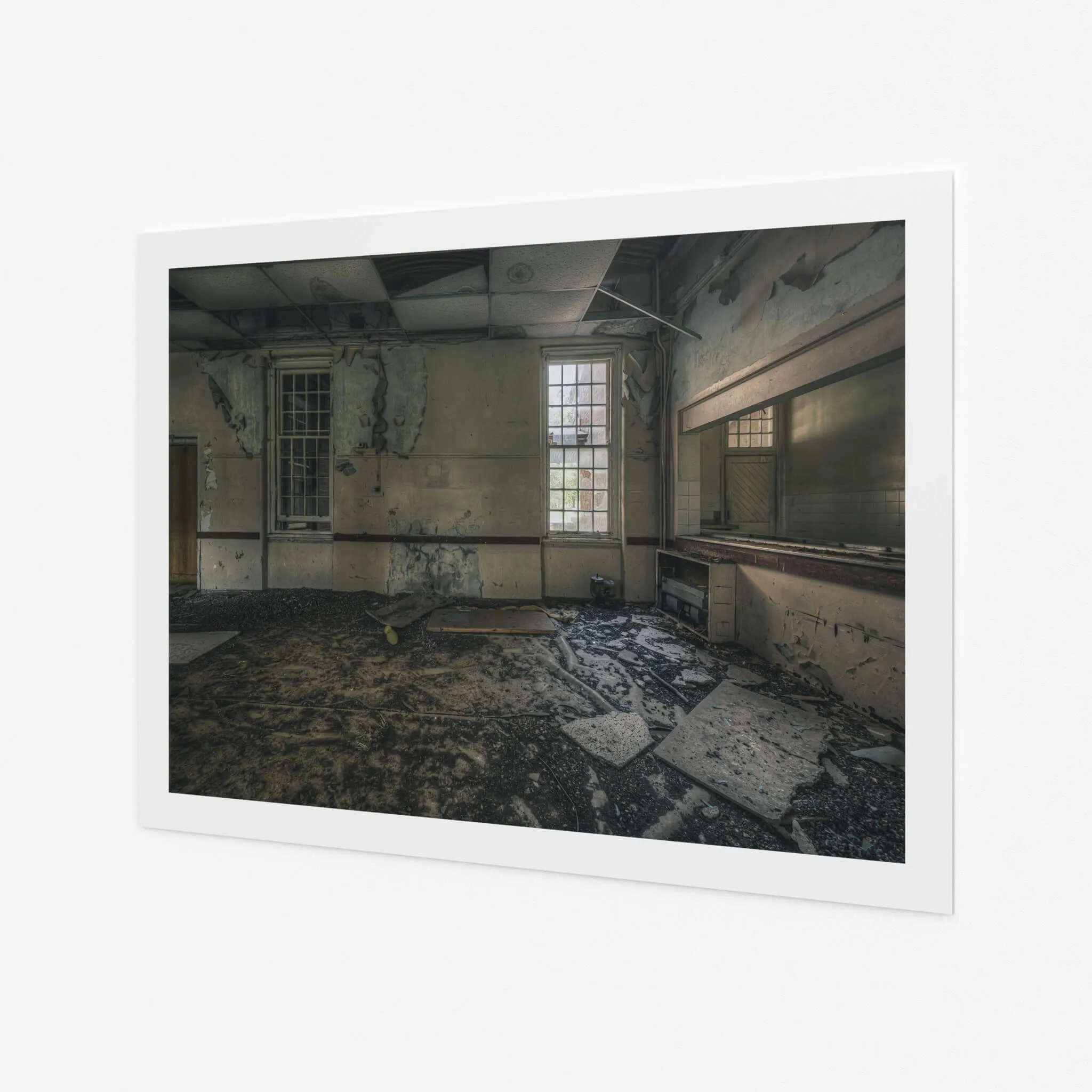 Serving Area | The Asylum