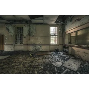 Serving Area | The Asylum