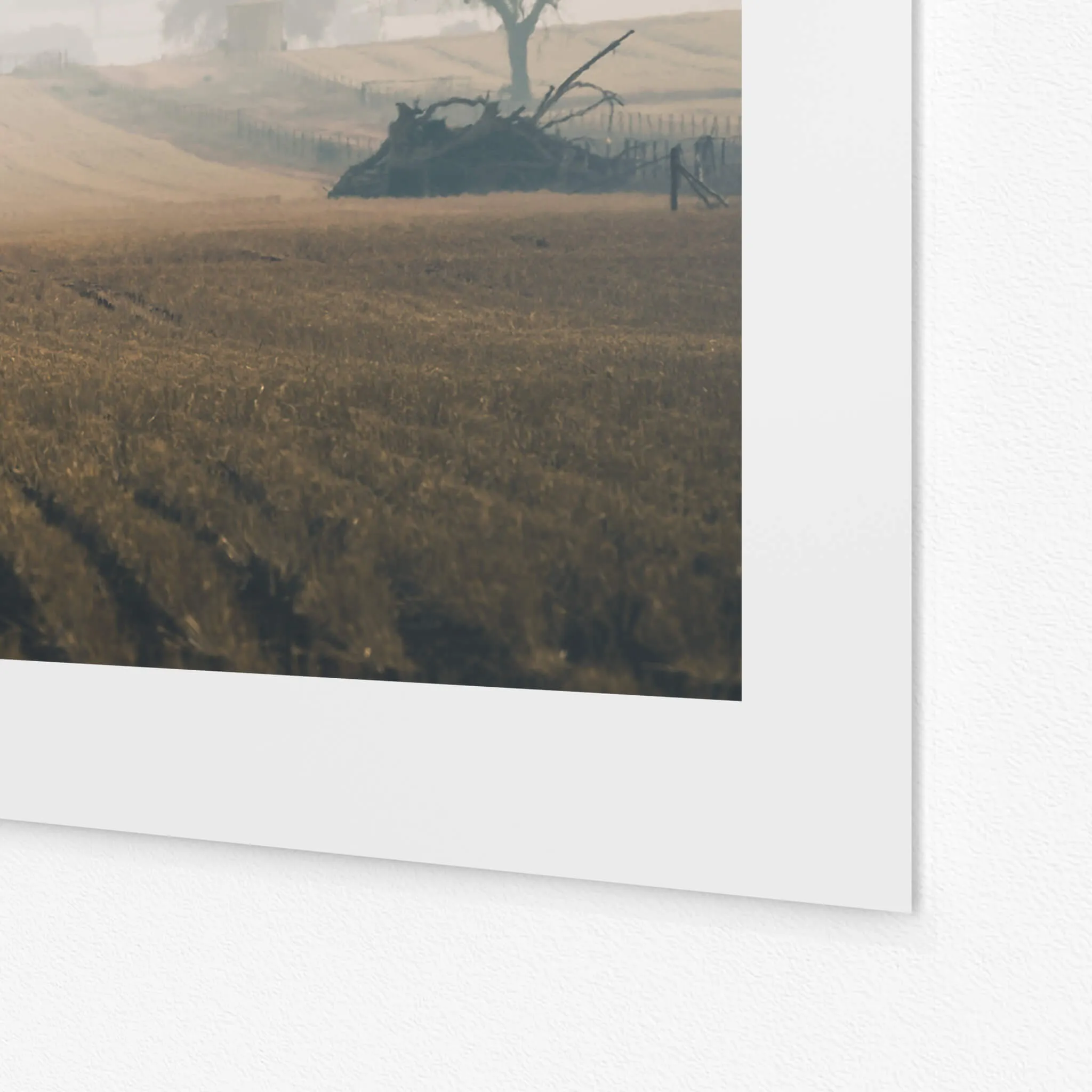 Solitude | Landscapes