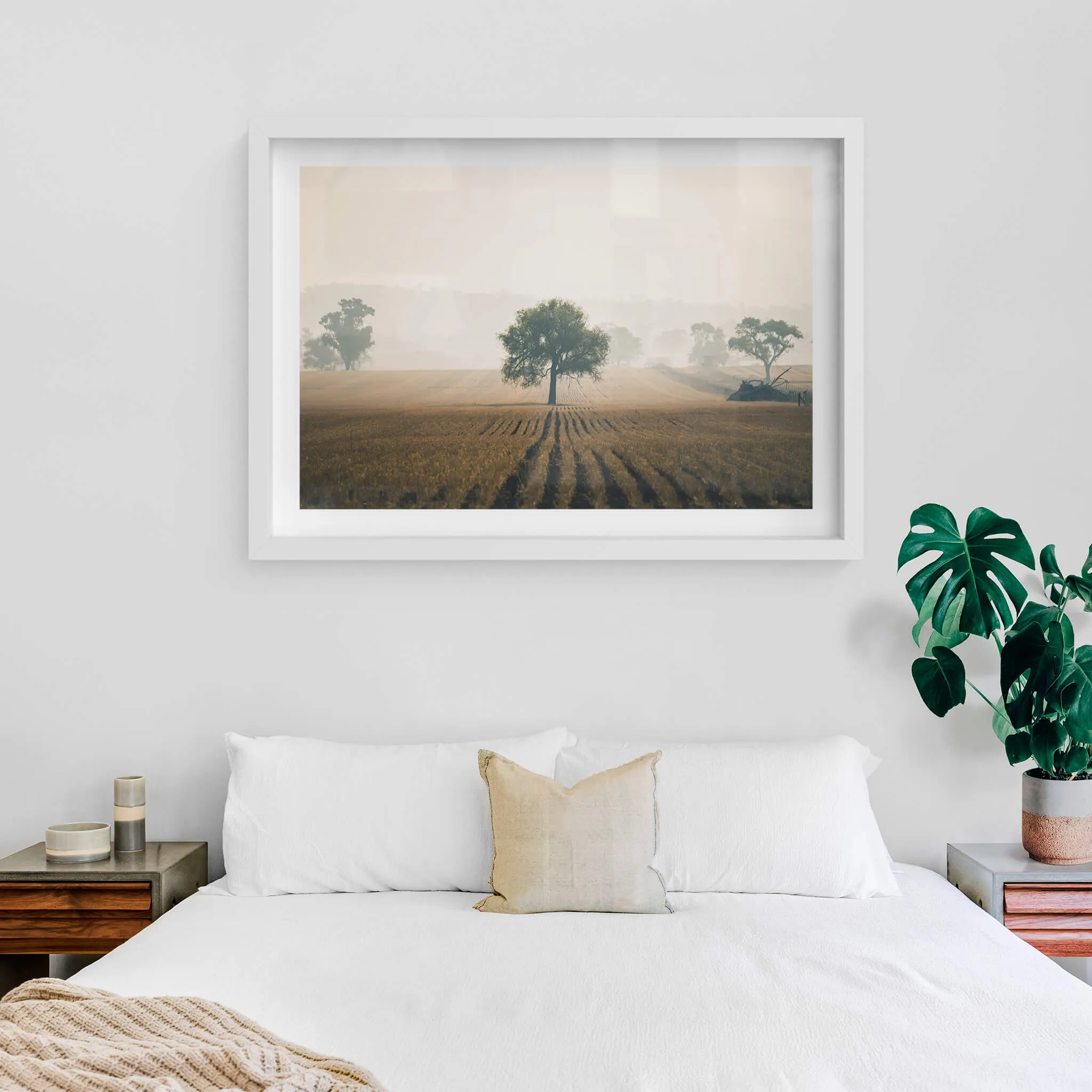 Solitude | Landscapes