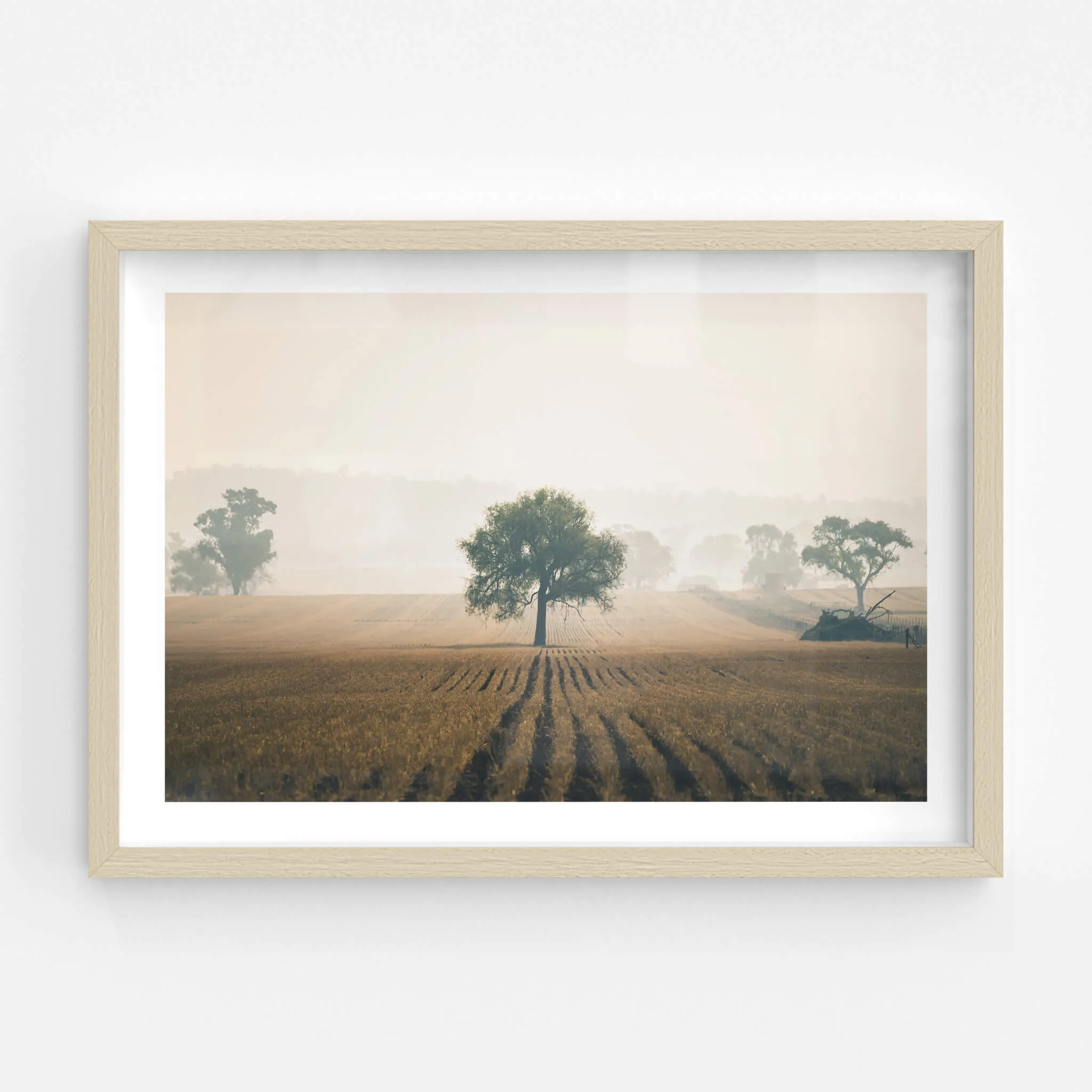 Solitude | Landscapes