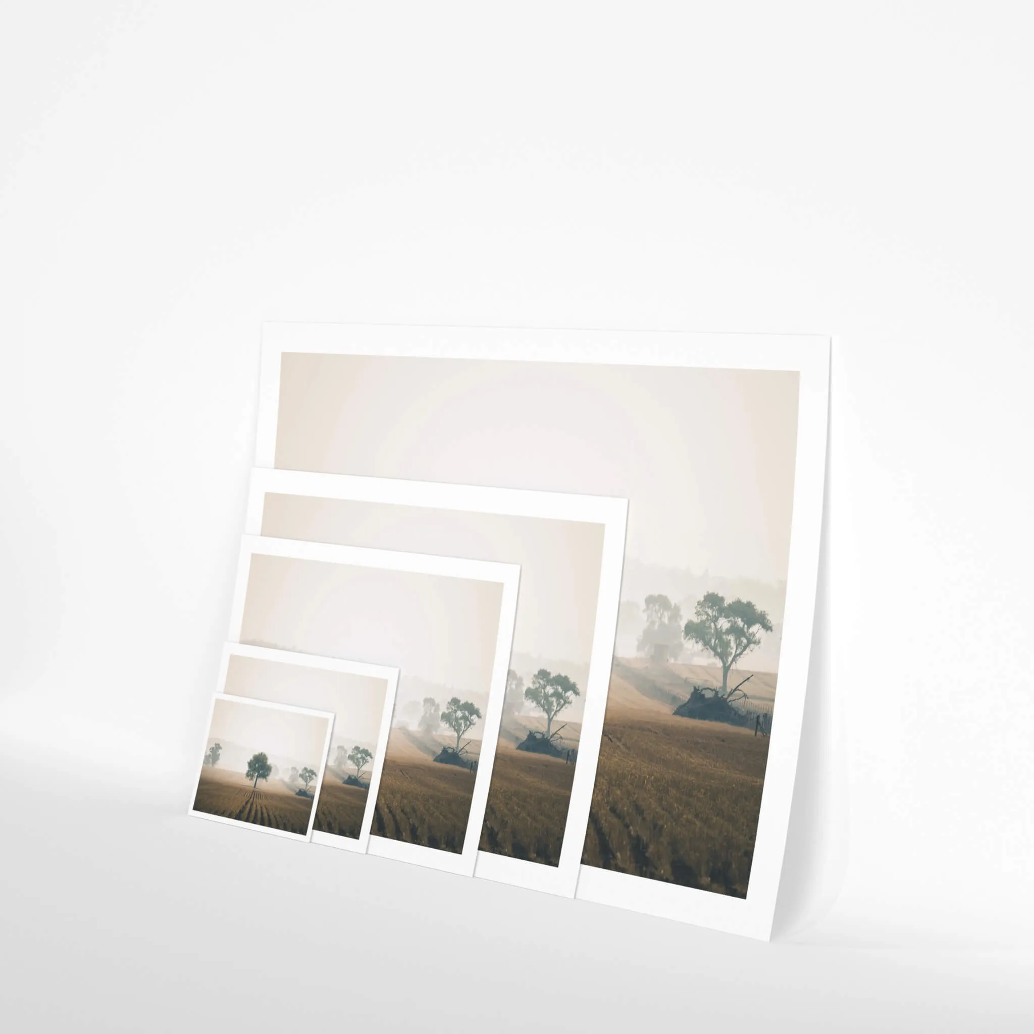Solitude | Landscapes