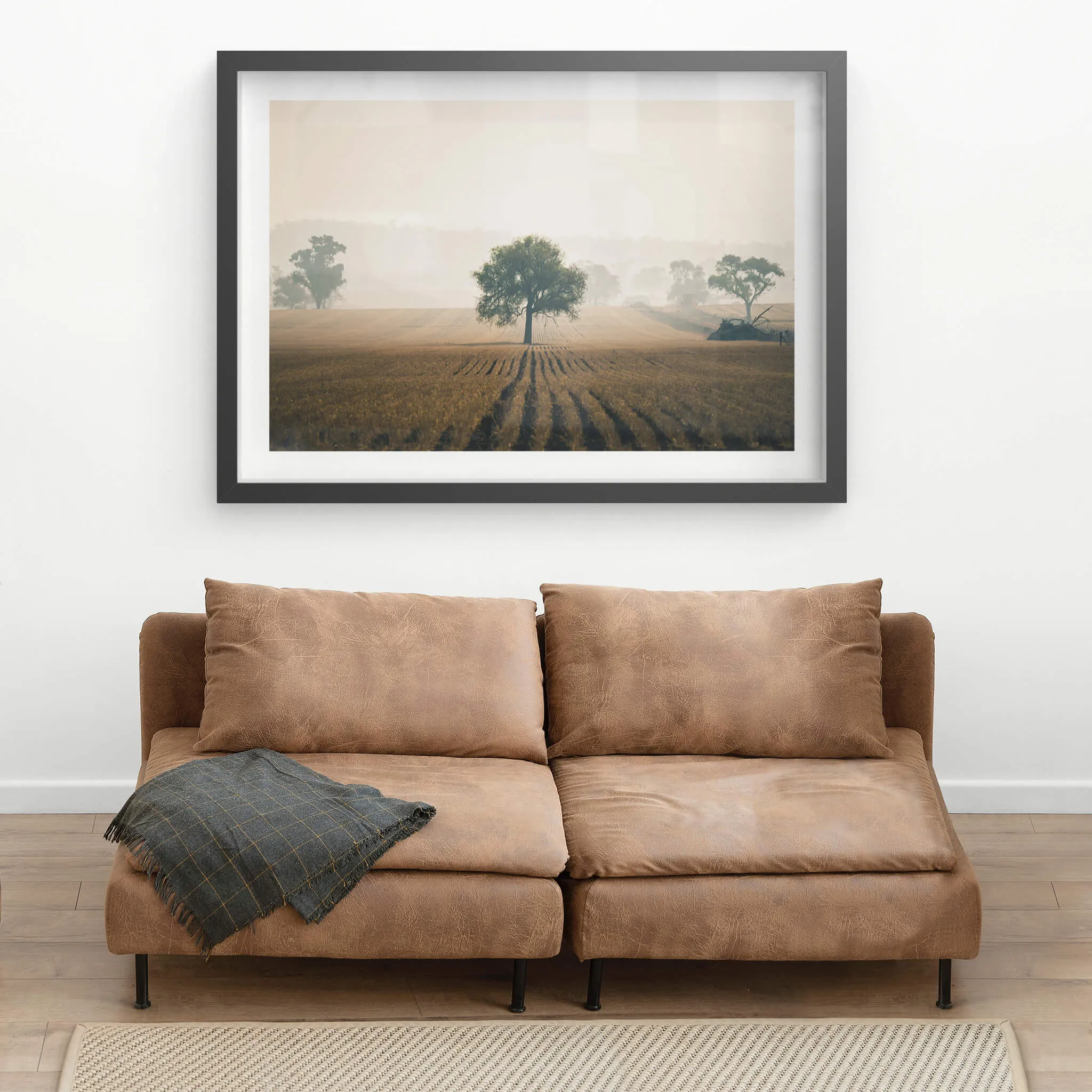 Solitude | Landscapes
