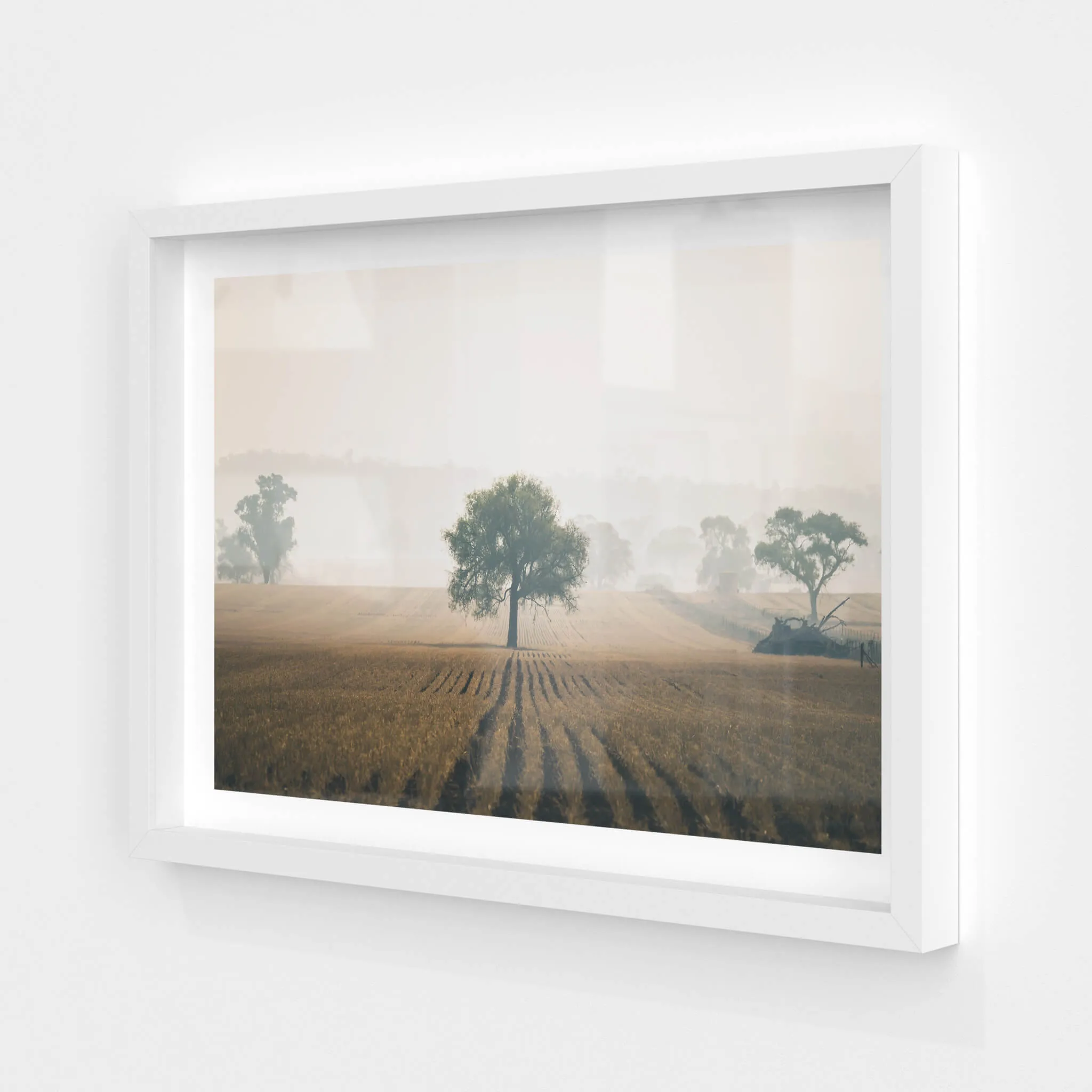 Solitude | Landscapes