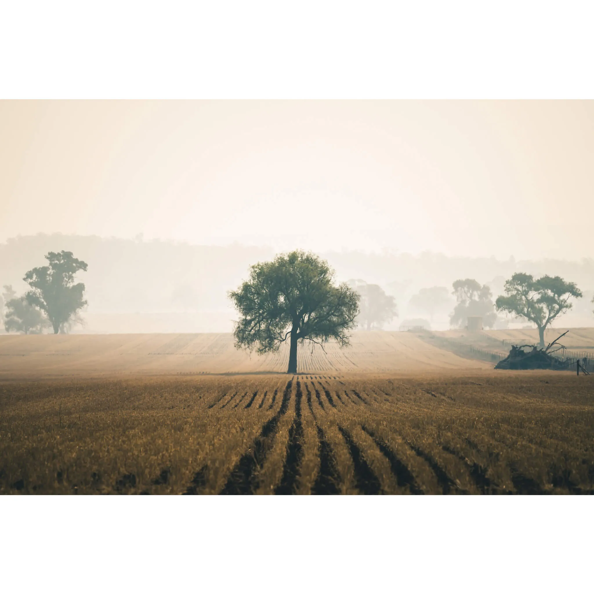 Solitude | Landscapes