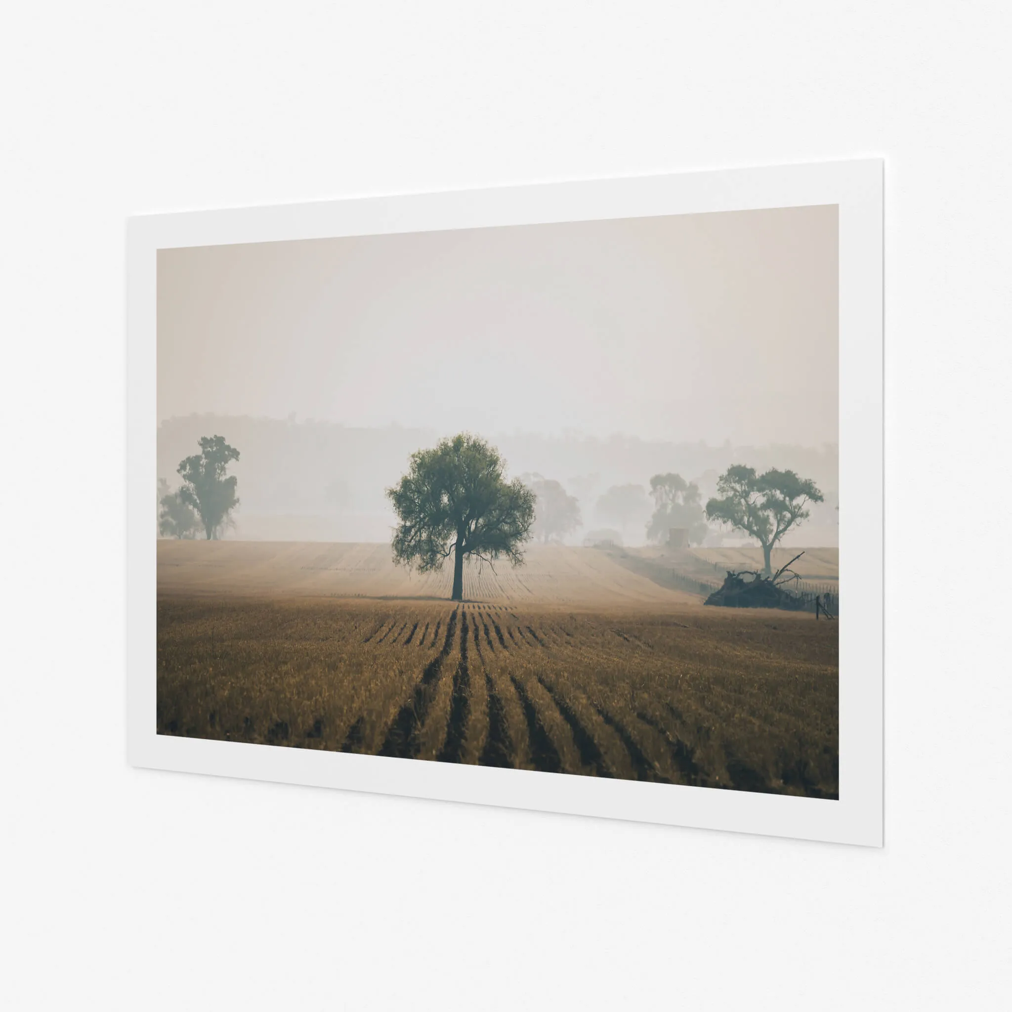 Solitude | Landscapes
