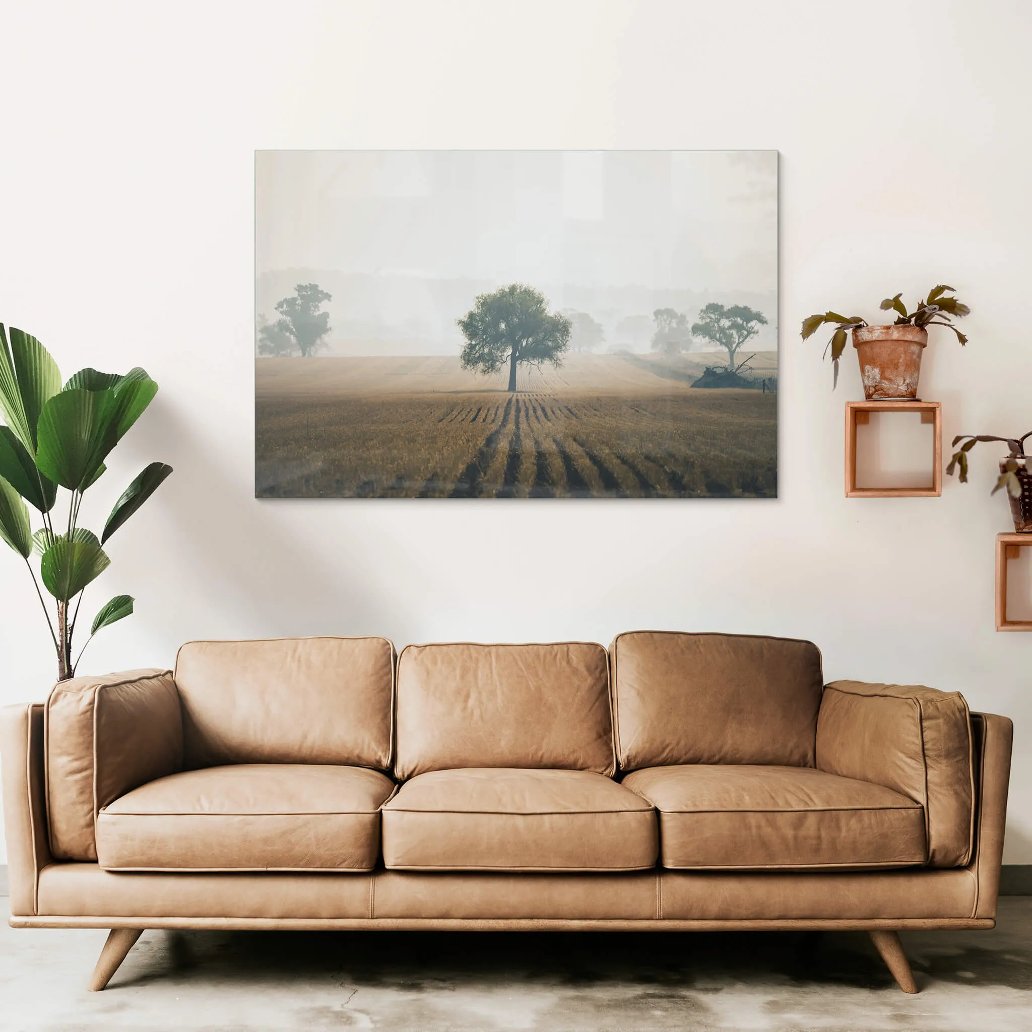 Solitude | Landscapes