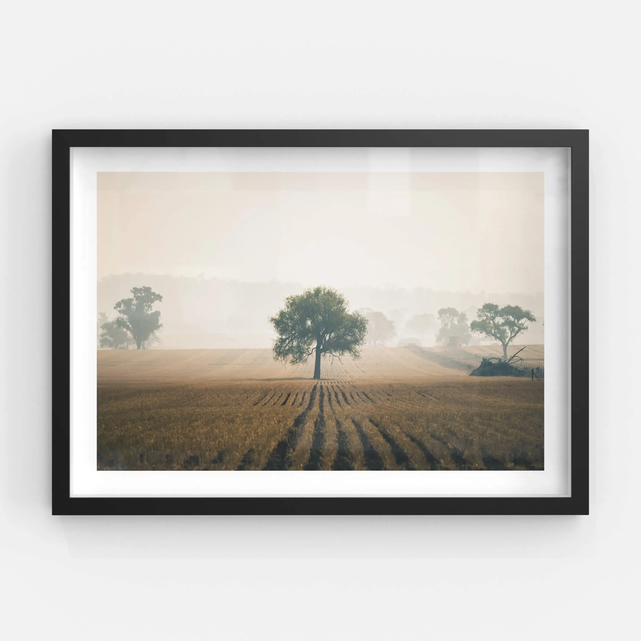 Solitude | Landscapes